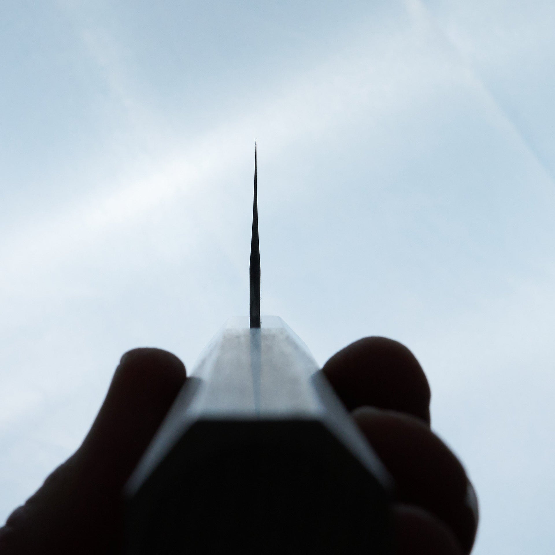 Hitohira Tanaka Ren White #2 Gyuto 210mm Ho Wood Handle-Knife-Hitohira-Carbon Knife Co