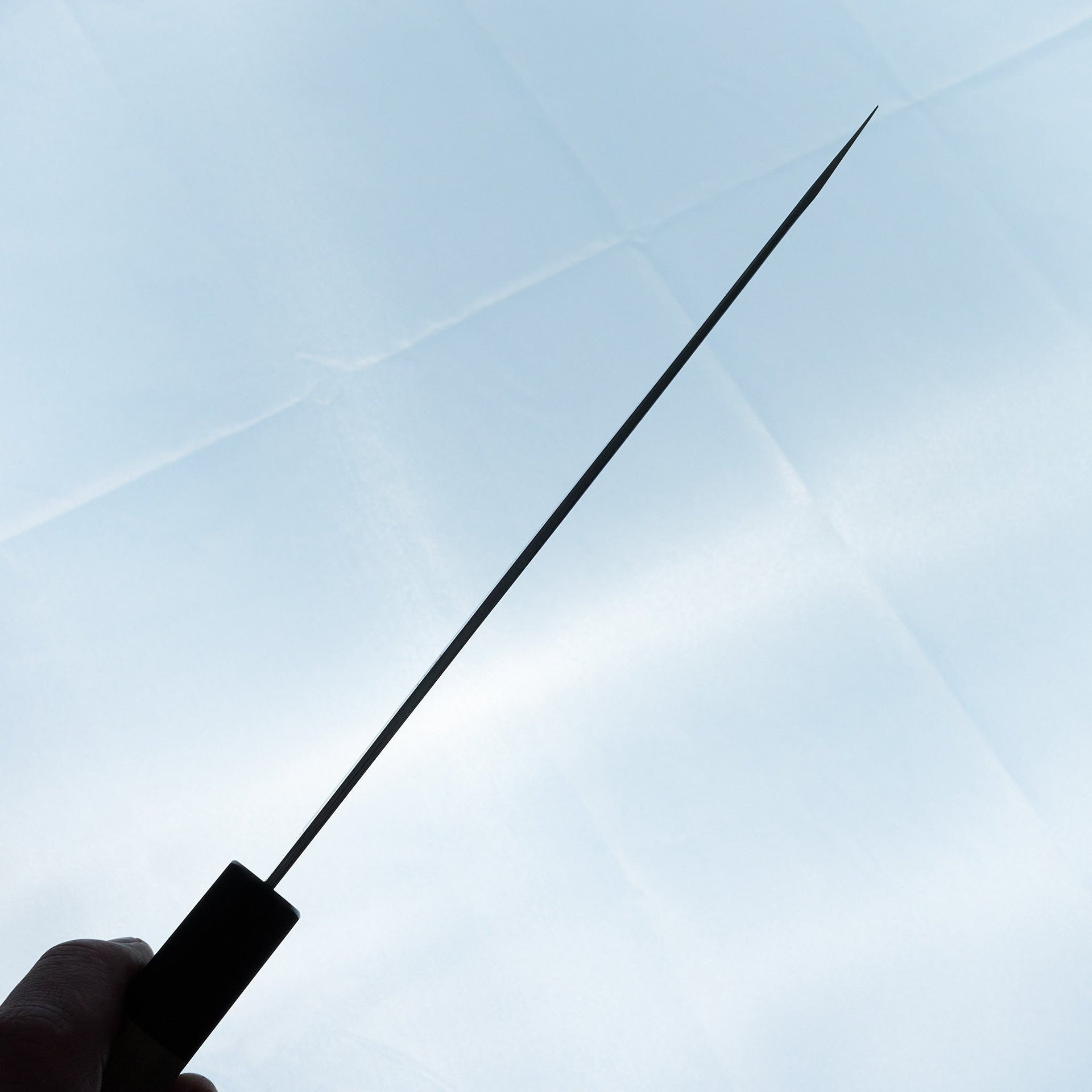 Hitohira Tanaka Ren White #2 Gyuto 210mm Ho Wood Handle-Knife-Hitohira-Carbon Knife Co