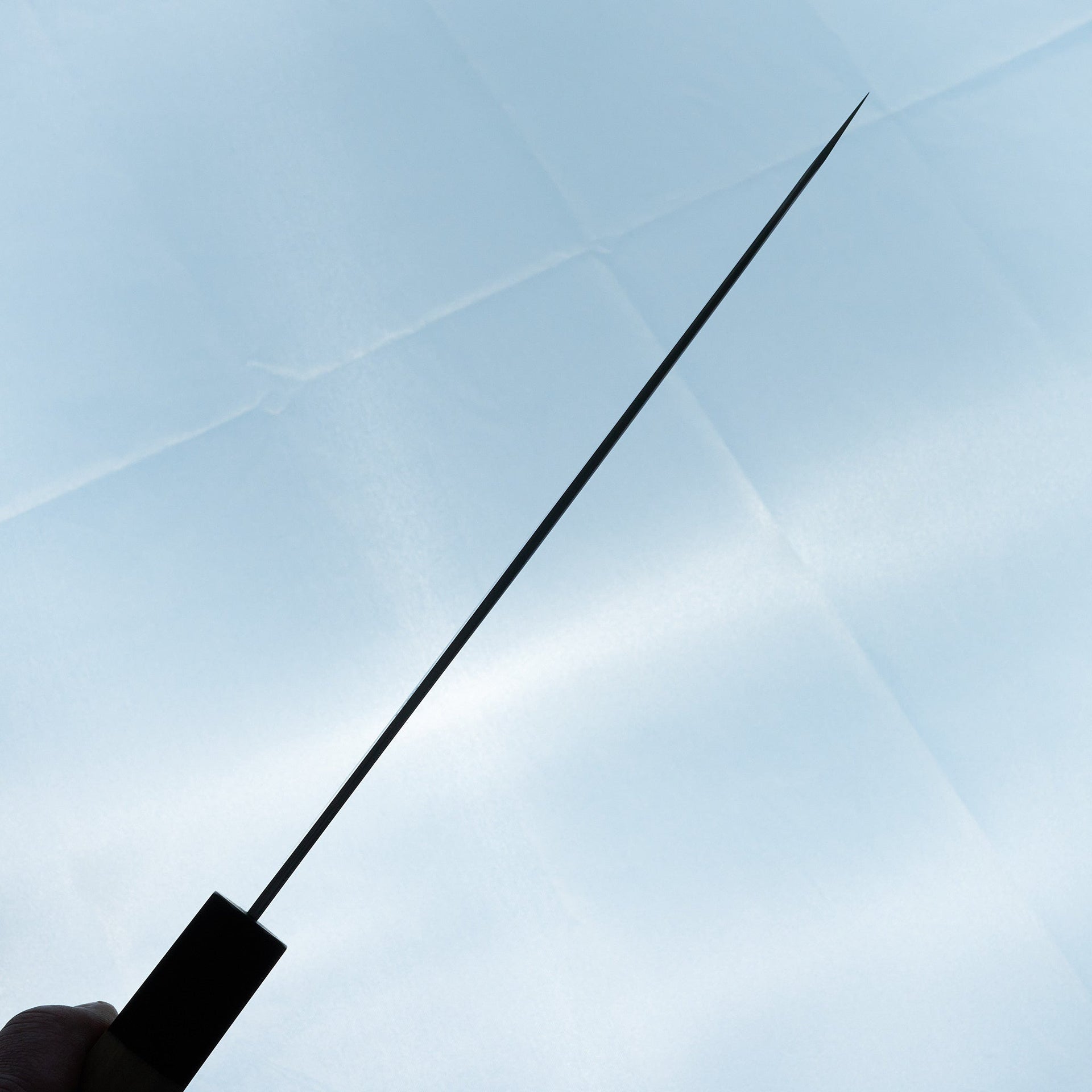 Hitohira Tanaka Ren White #2 Gyuto 240mm Ho Wood Handle-Knife-Hitohira-Carbon Knife Co