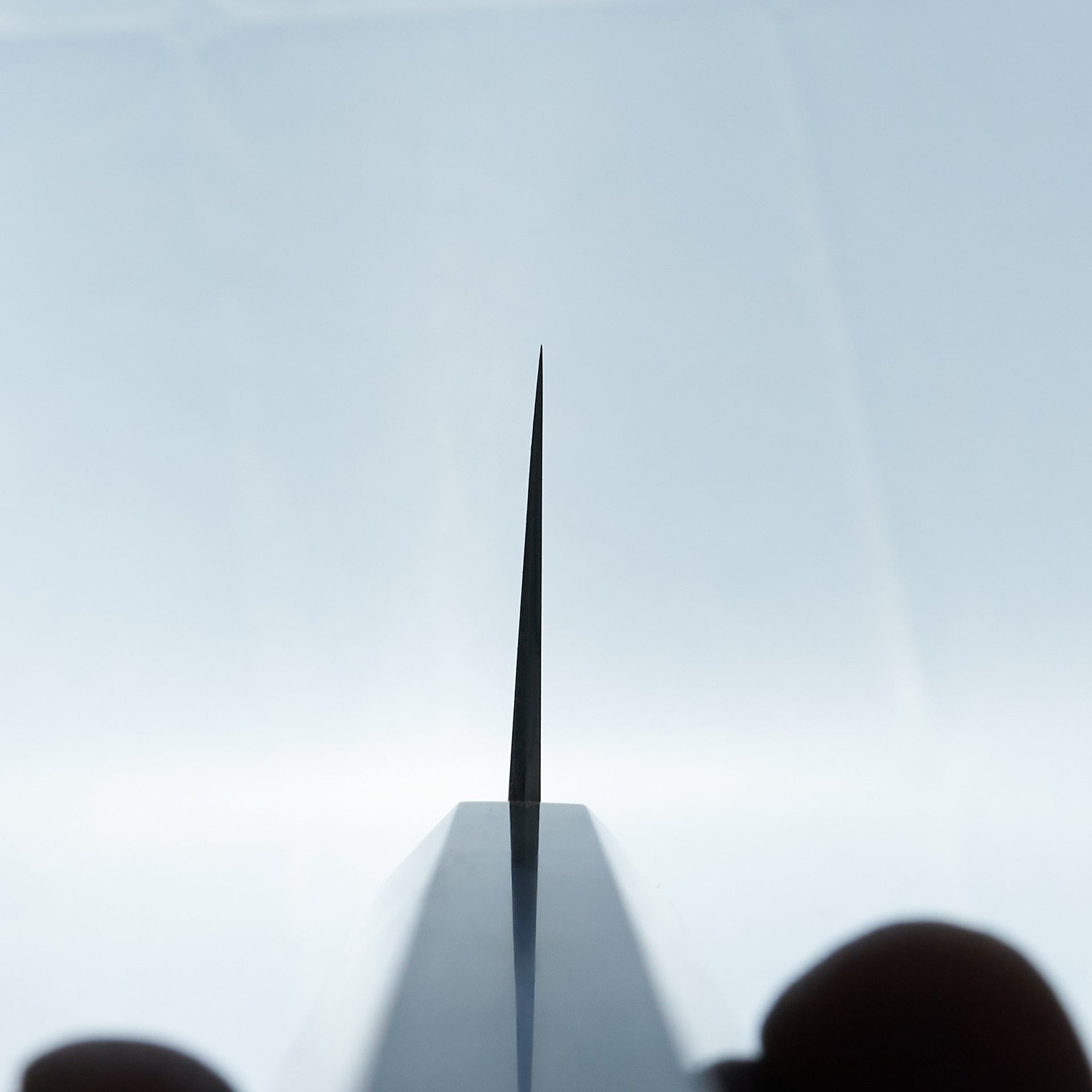 Hitohira Tanaka Yohei Blue #1 Kasumi Gyuto 210mm Ebony Handle-Knife-Hitohira-Carbon Knife Co