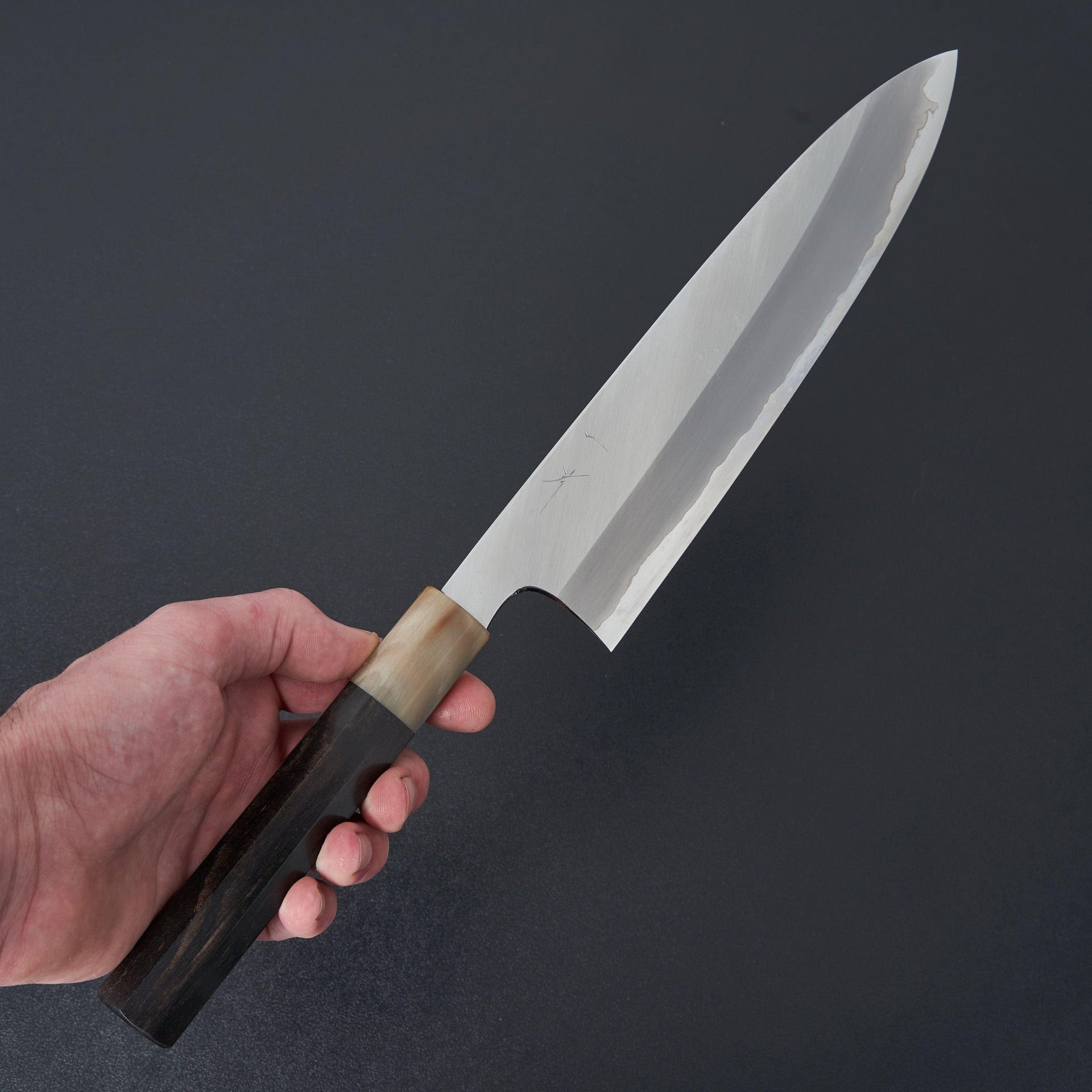 Hitohira Togashi Blue #1 Stainless Clad Gyuto 240mm Taihei Ebony Handle-Knife-Hitohira-Carbon Knife Co