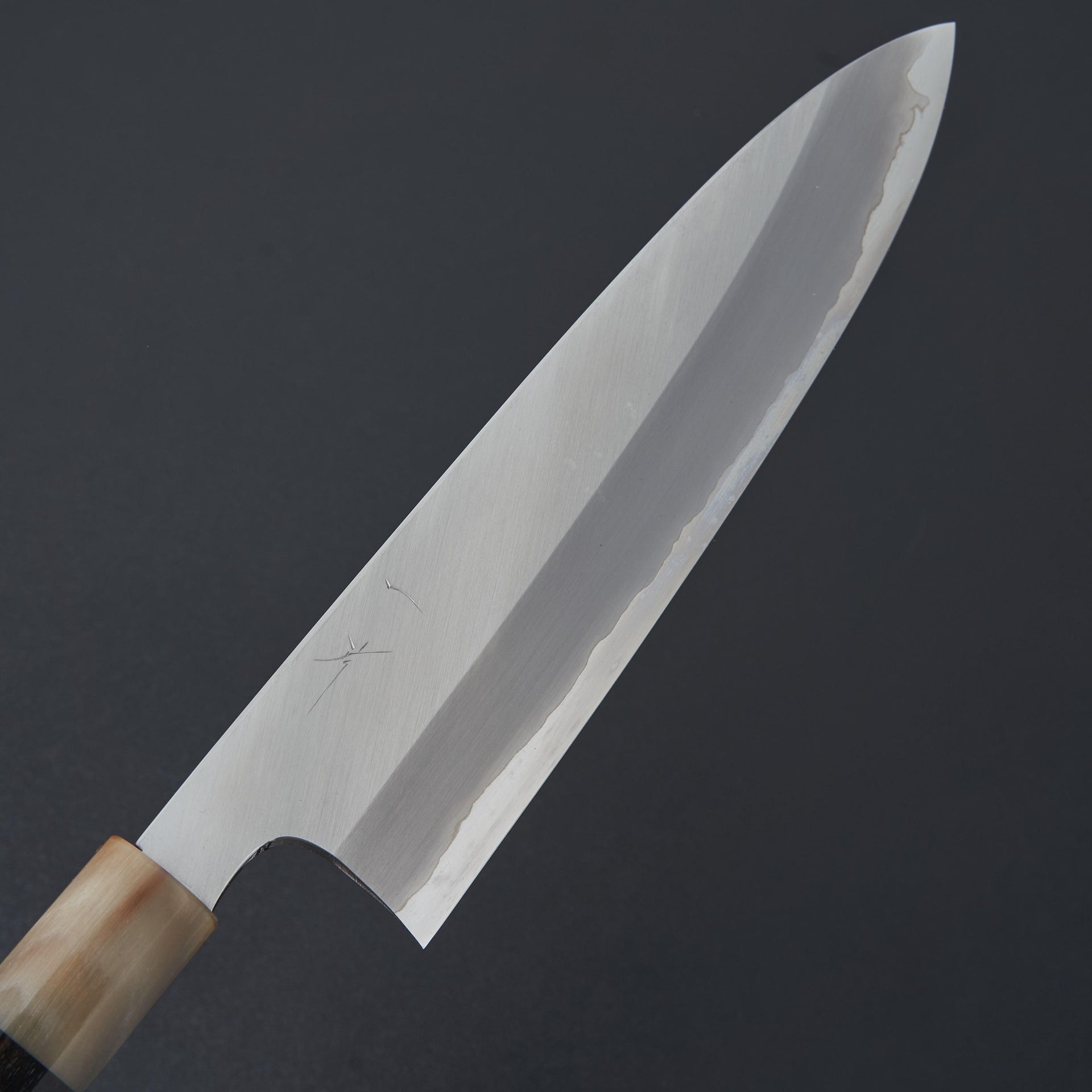 Hitohira Togashi Blue #1 Stainless Clad Gyuto 240mm Taihei Ebony Handle-Knife-Hitohira-Carbon Knife Co