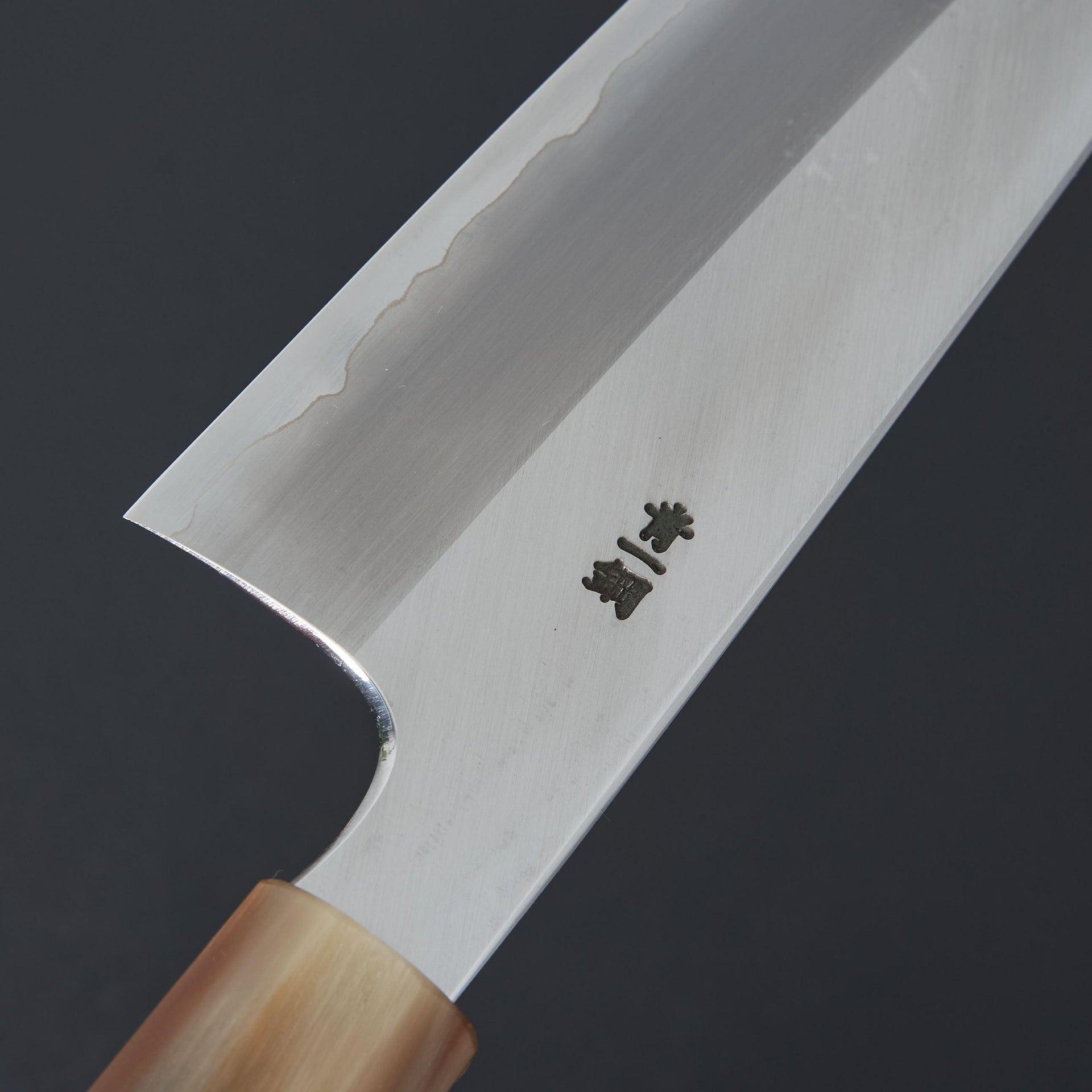 Hitohira Togashi Blue #1 Stainless Clad Gyuto 240mm Taihei Ebony Handle-Knife-Hitohira-Carbon Knife Co