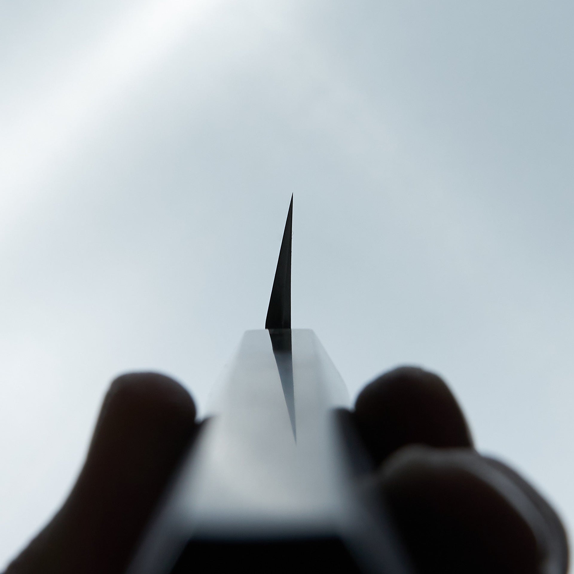 Hitohira Togashi White #1 Mizu Honyaki Yanagiba 300mm Taihei Ebony Handle (Saya)-Knife-Hitohira-Carbon Knife Co