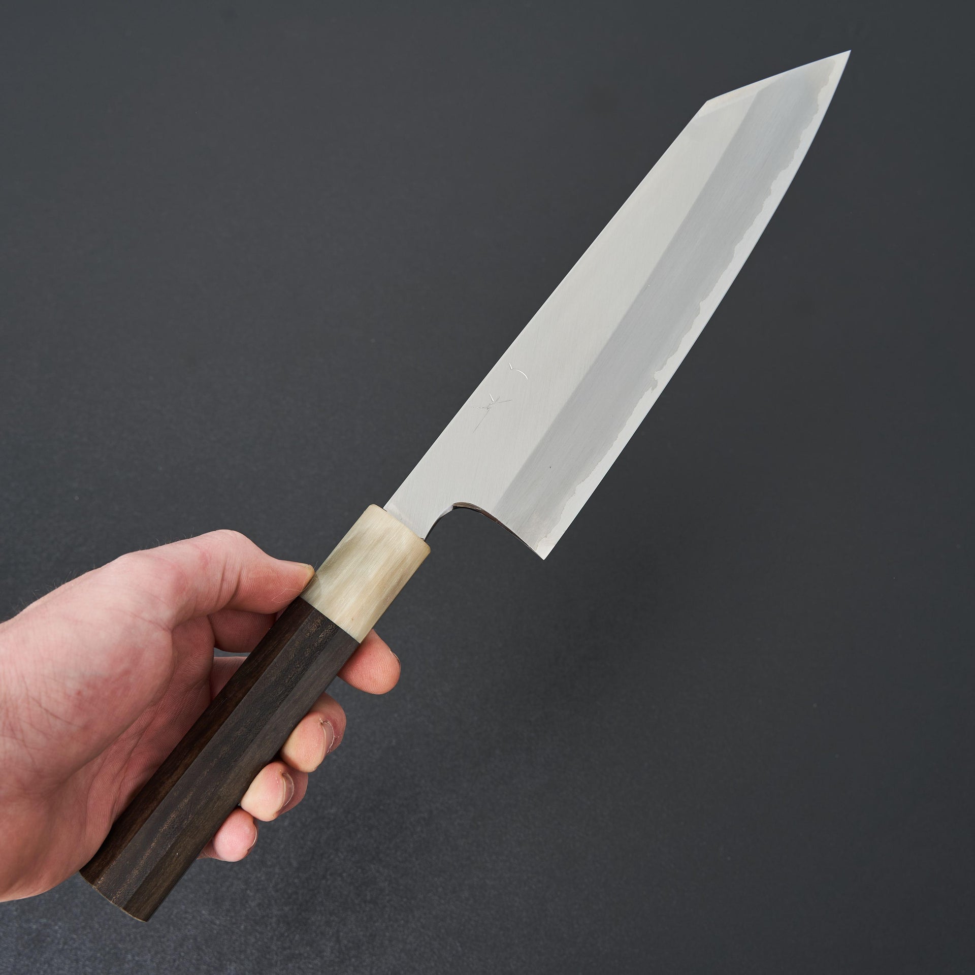 Hitohira Togashi White #1 Stainless Clad Kiritsuke Gyuto 210mm Taihei Ebony Handle-Knife-Hitohira-Carbon Knife Co