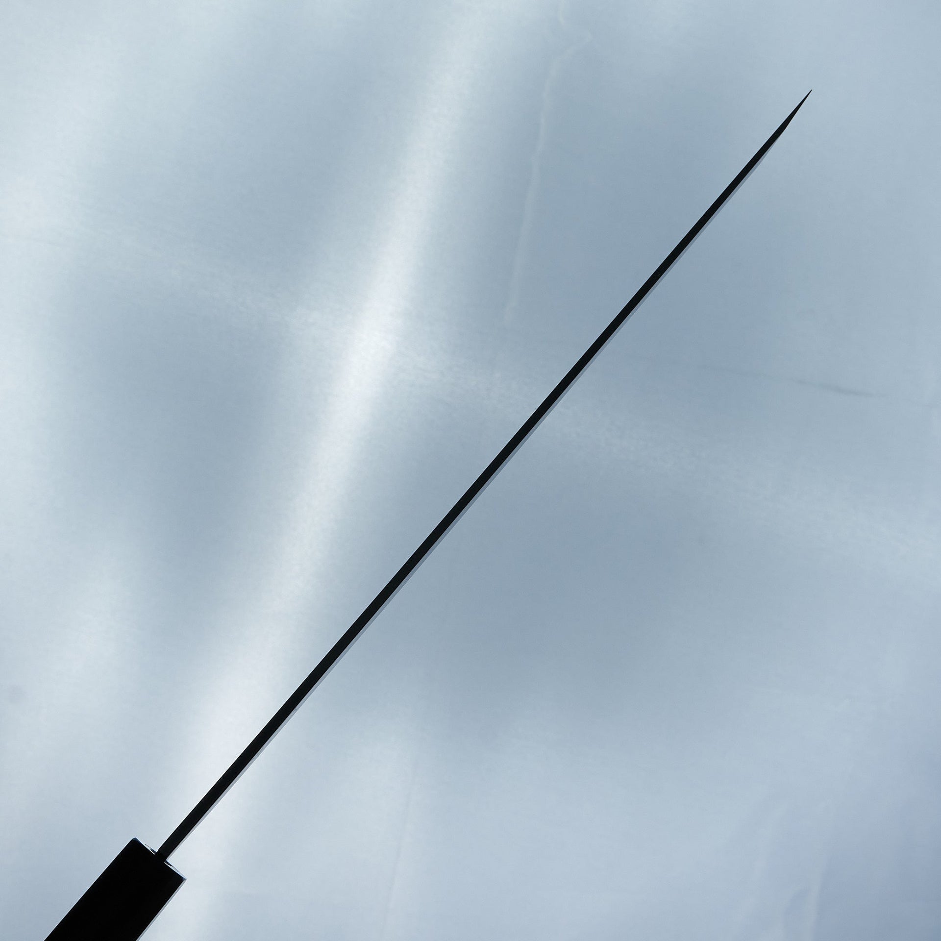 Hitohira Togashi White #1 Yanagi Sakimaru 300mm Ebony Handle (Saya)-Knife-Hitohira-Carbon Knife Co