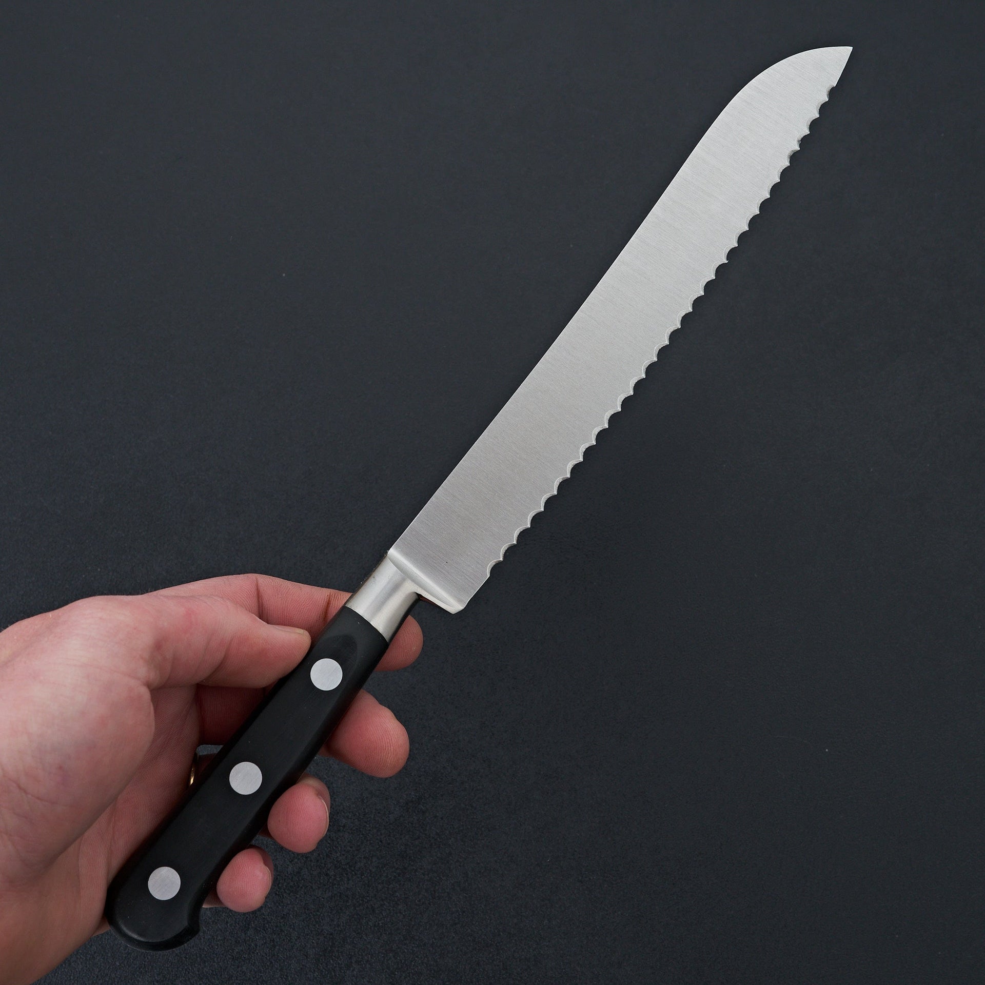 K Sabatier Authentique 8" Bread Knife Stainless-Knife-K Sabatier-Carbon Knife Co