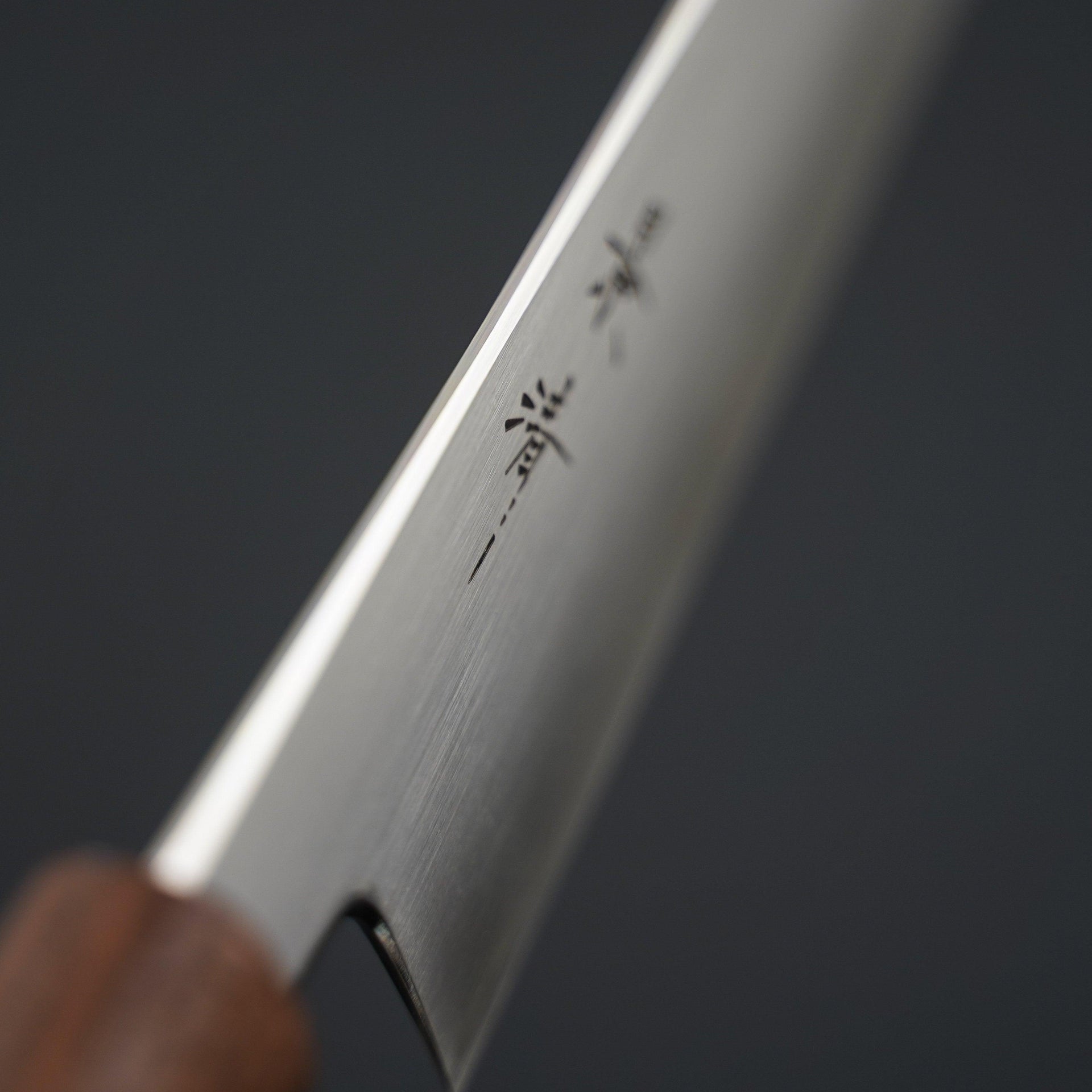 Kagekiyo Ginsan Gyuto 210mm Walnut Handle-Knife-Kagekiyo-Carbon Knife Co