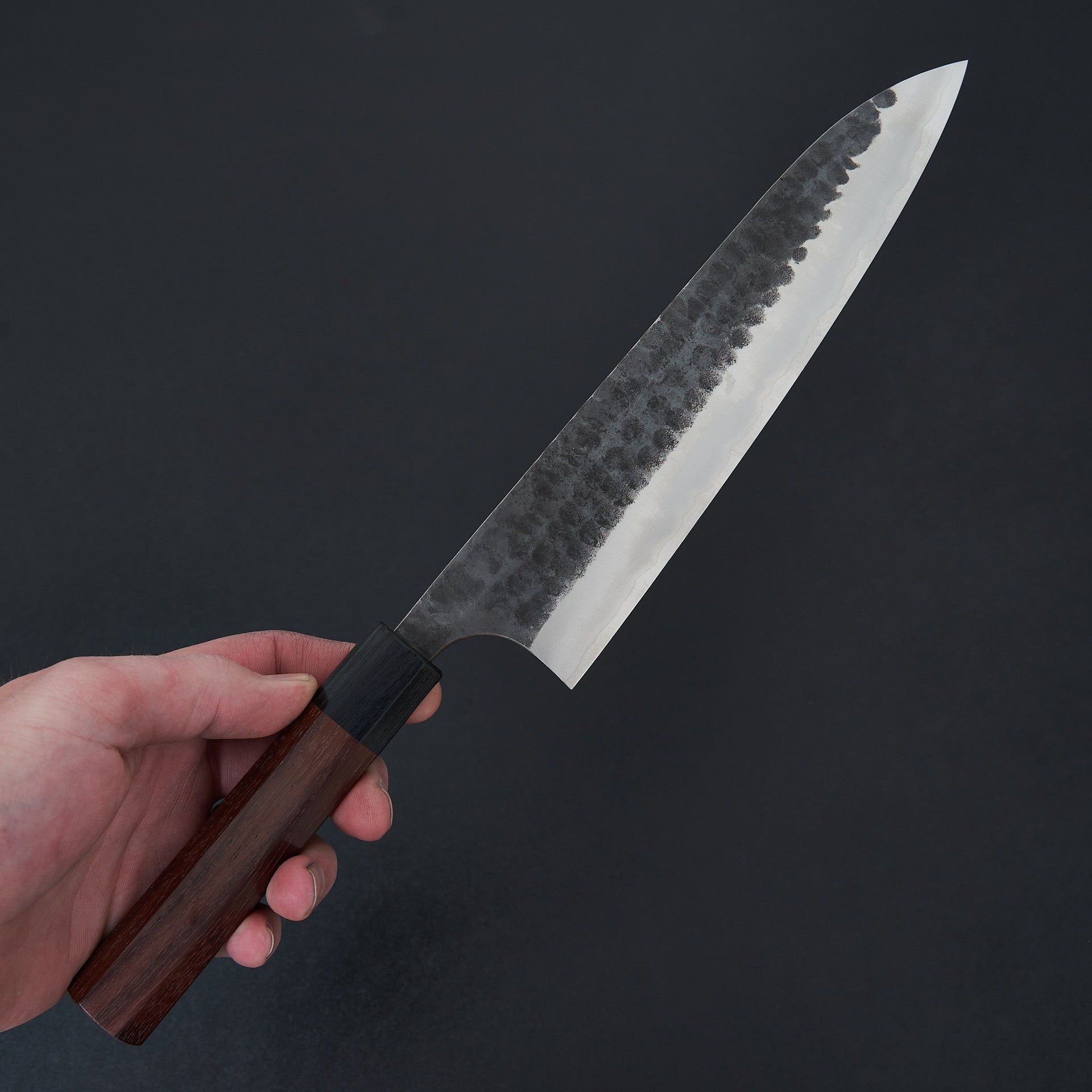 Katsushige Anryu AS Gyuto 210mm-Knife-Katsushige Anryu-Carbon Knife Co