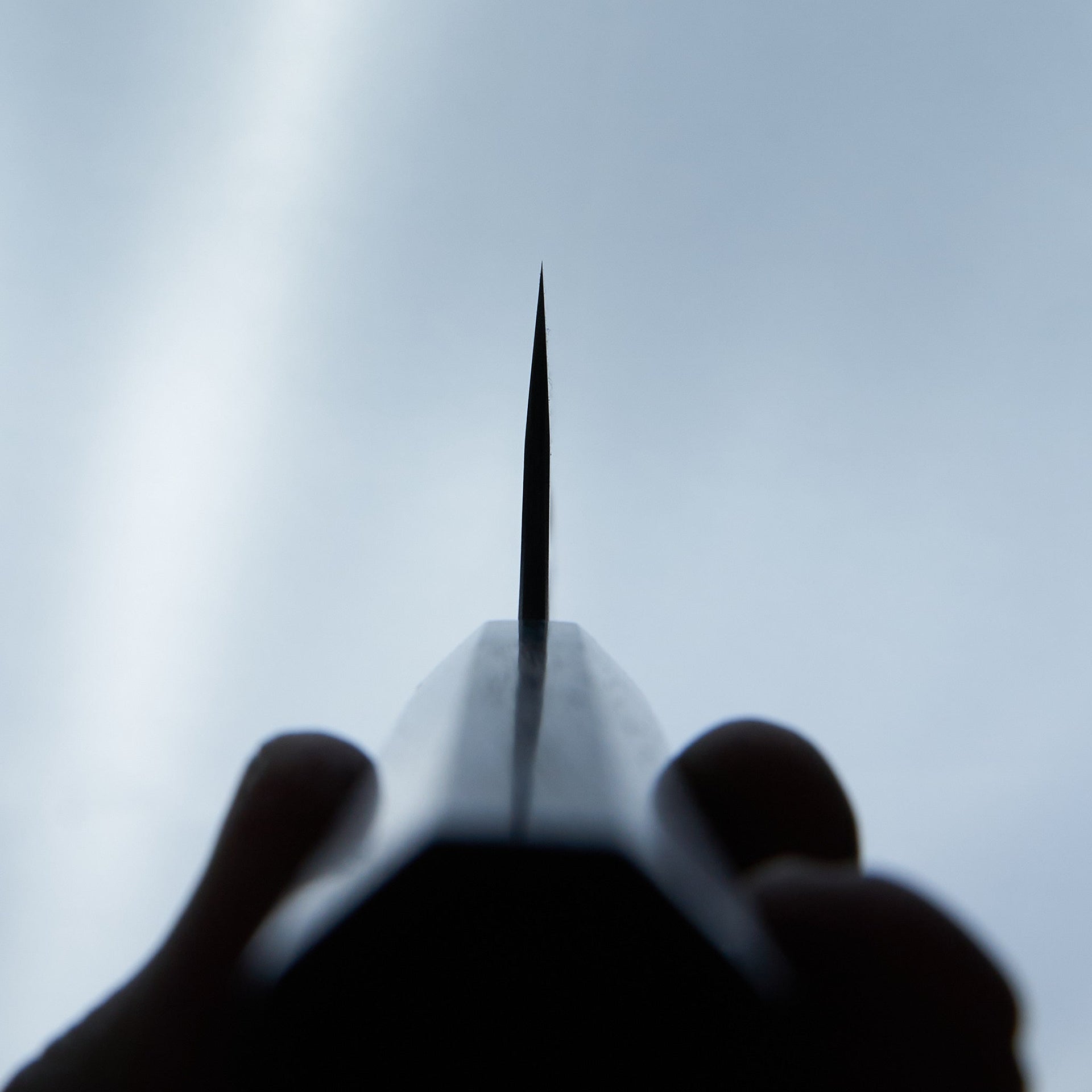 Katsushige Anryu AS Gyuto 210mm-Knife-Katsushige Anryu-Carbon Knife Co