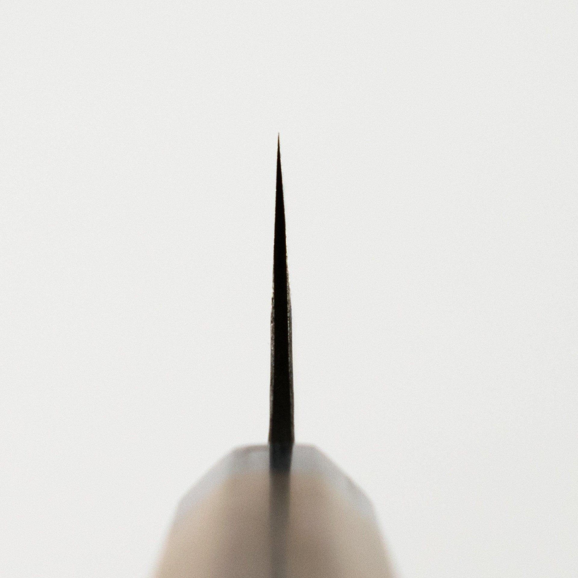 Katsushige Anryu AS Gyuto 240mm-Knife-Katsushige Anryu-Carbon Knife Co