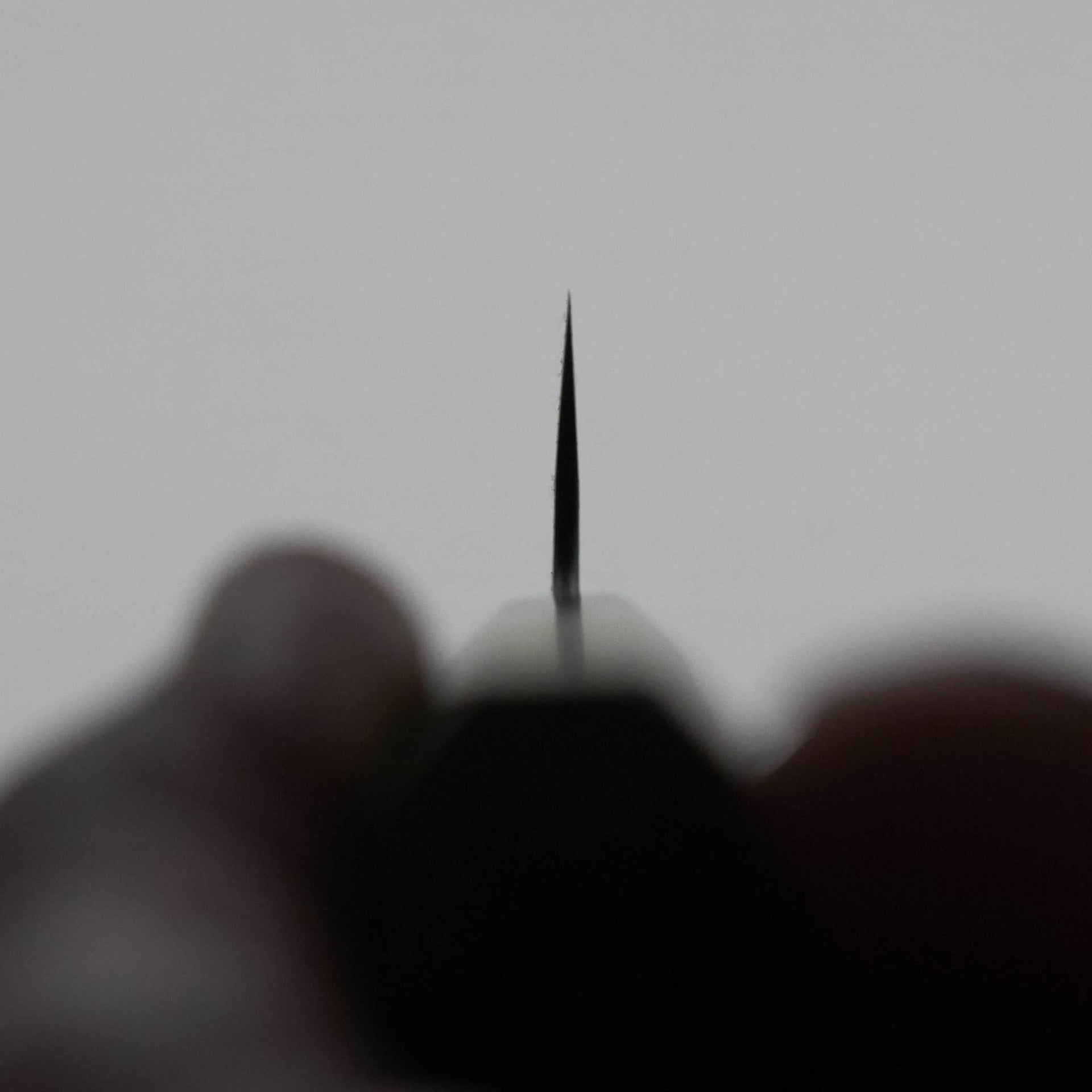 Kikumori Kurouchi White #1 Petty 150mm-Knife-Sakai Kikumori-Carbon Knife Co