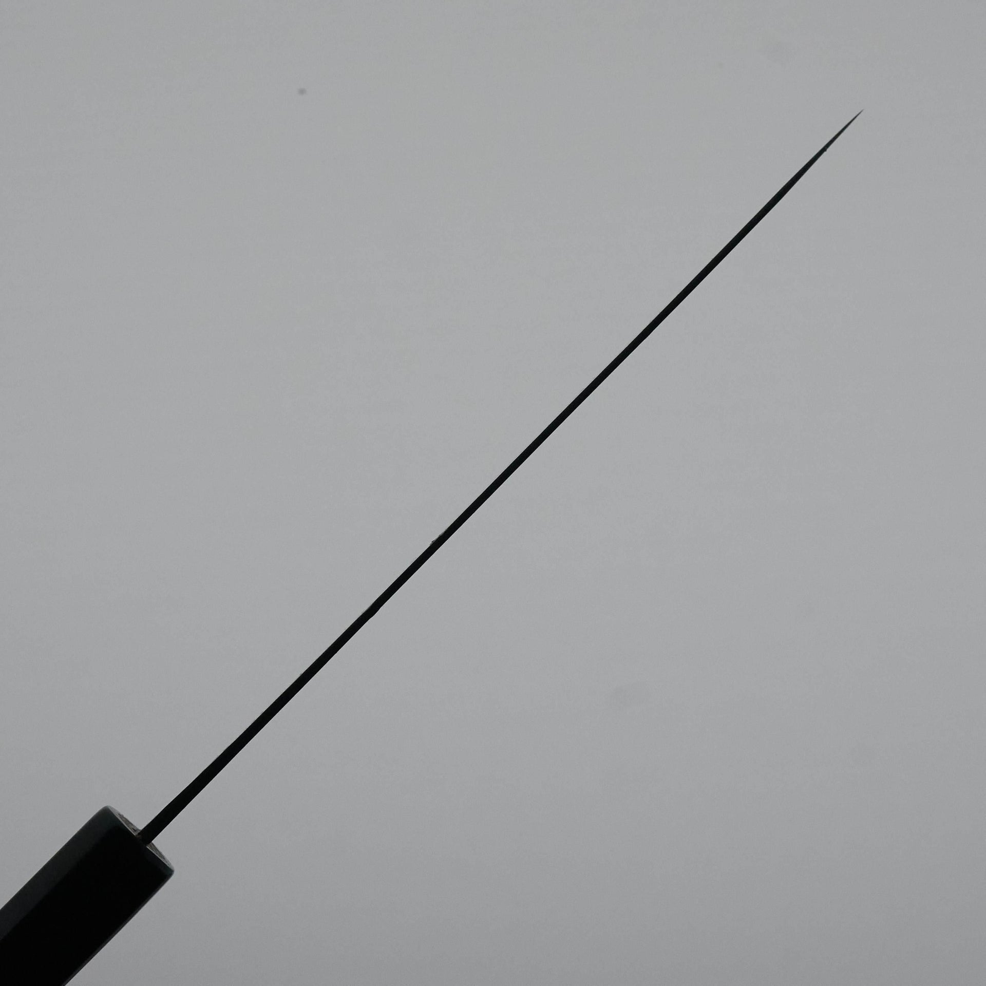 Kikumori Kurouchi White #1 Petty 150mm-Knife-Sakai Kikumori-Carbon Knife Co