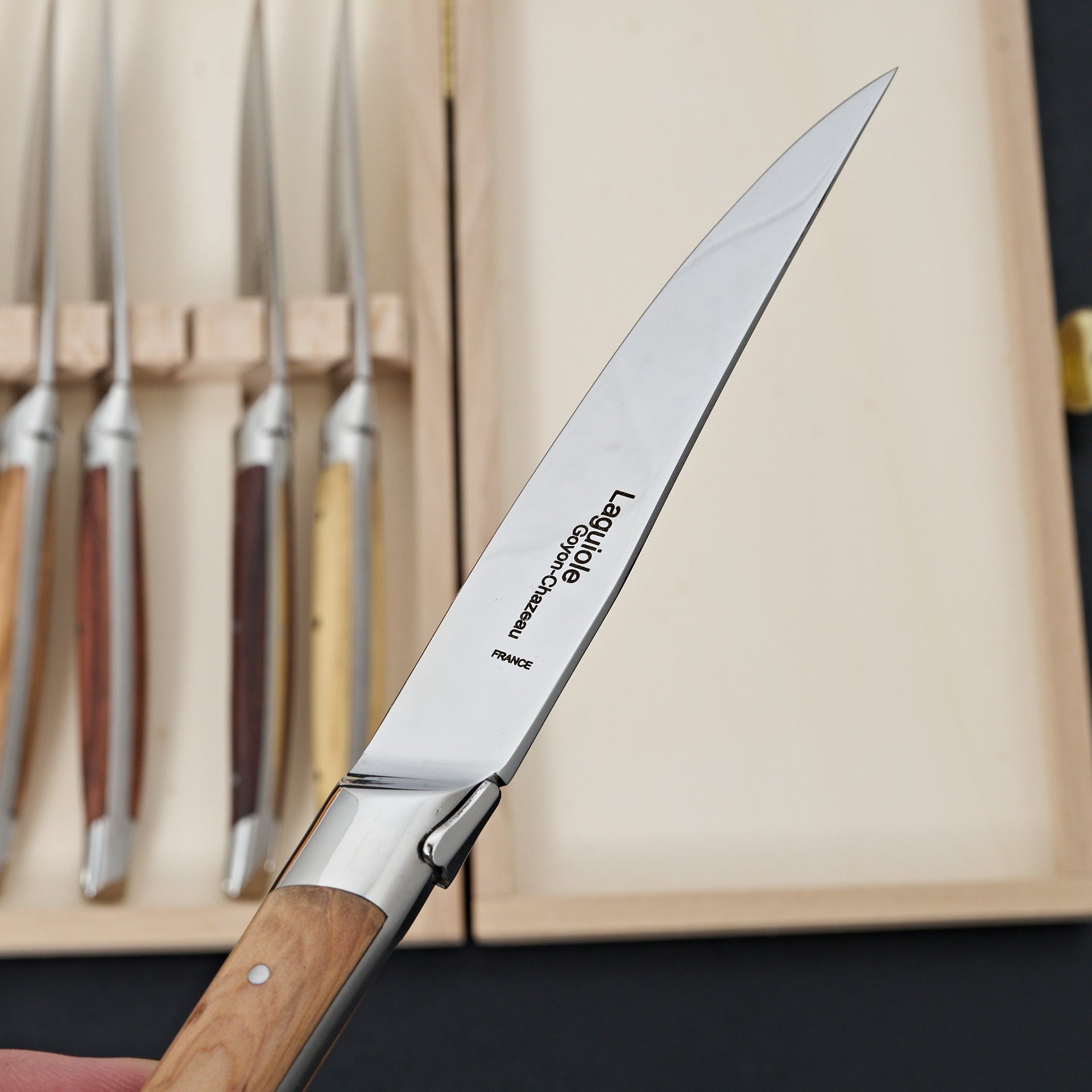 Laguoile Modern 6 Piece Table Knife Set-Knife-K Sabatier-Carbon Knife Co