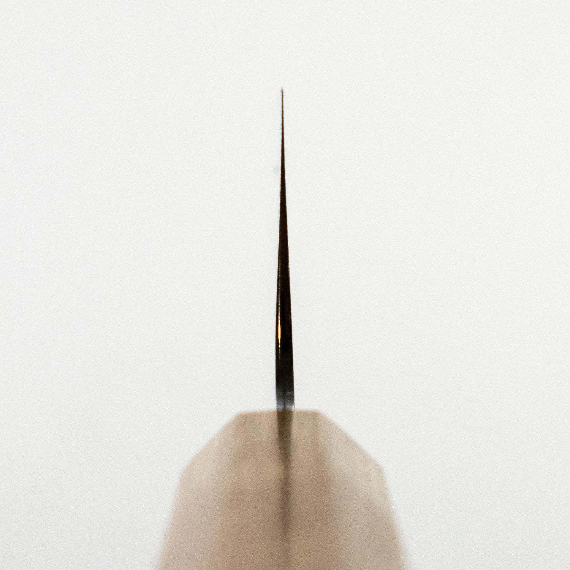 Makoto SG2 Sakura Gyuto 210mm-Knife-Makoto-Carbon Knife Co