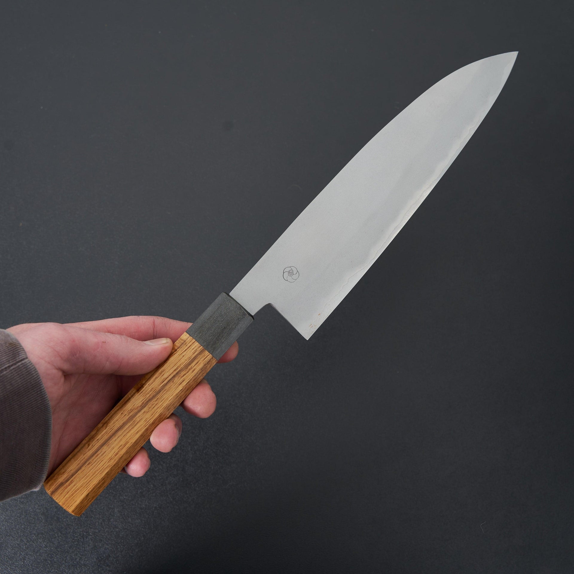 Miyazaki Kajiya Migaki Stainless Clad Blue #2 Gyuto 210mm-Miyazaki-Carbon Knife Co