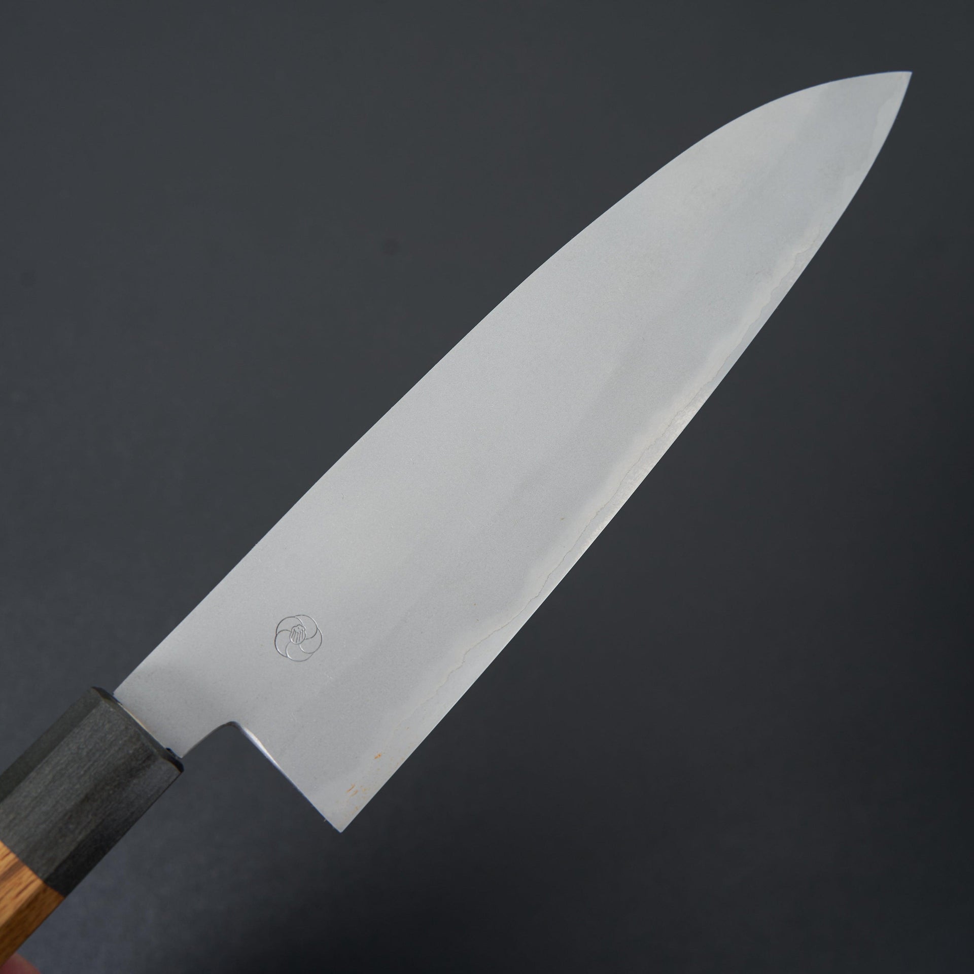 Miyazaki Kajiya Migaki Stainless Clad Blue #2 Gyuto 210mm-Miyazaki-Carbon Knife Co