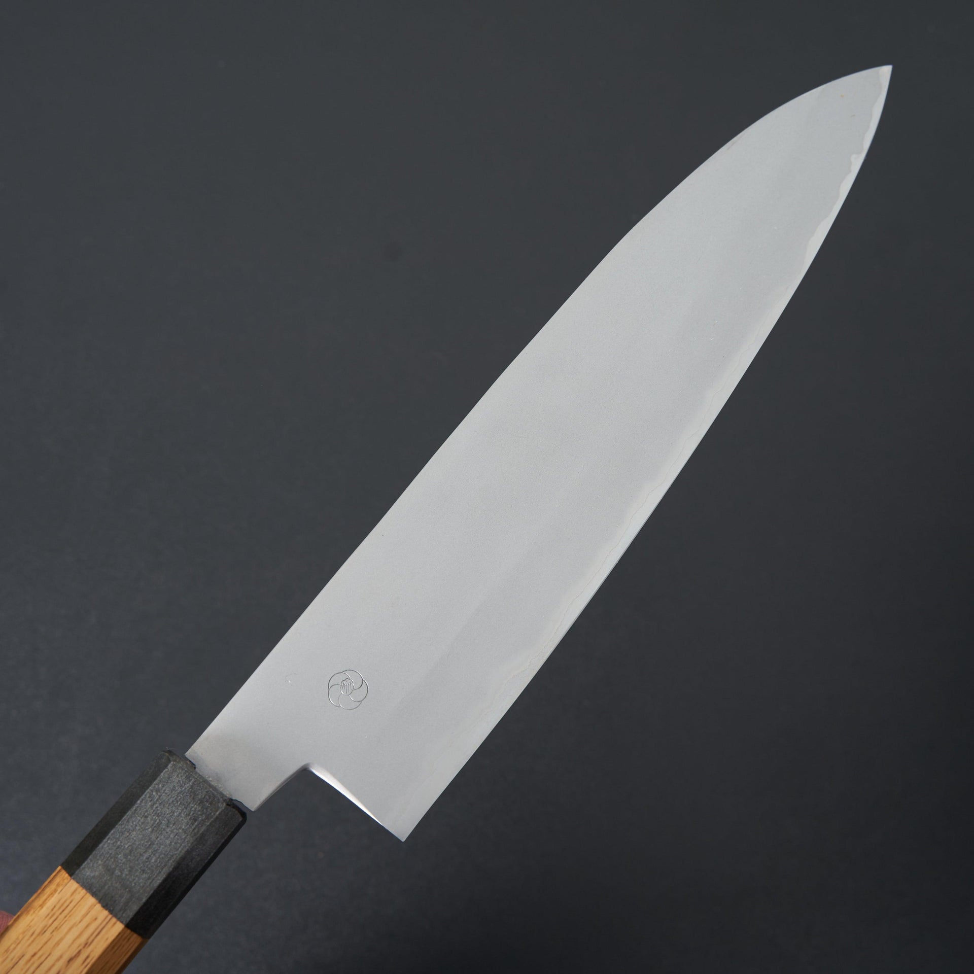 Miyazaki Kajiya Migaki Stainless Clad Blue #2 Gyuto 240mm-Miyazaki-Carbon Knife Co