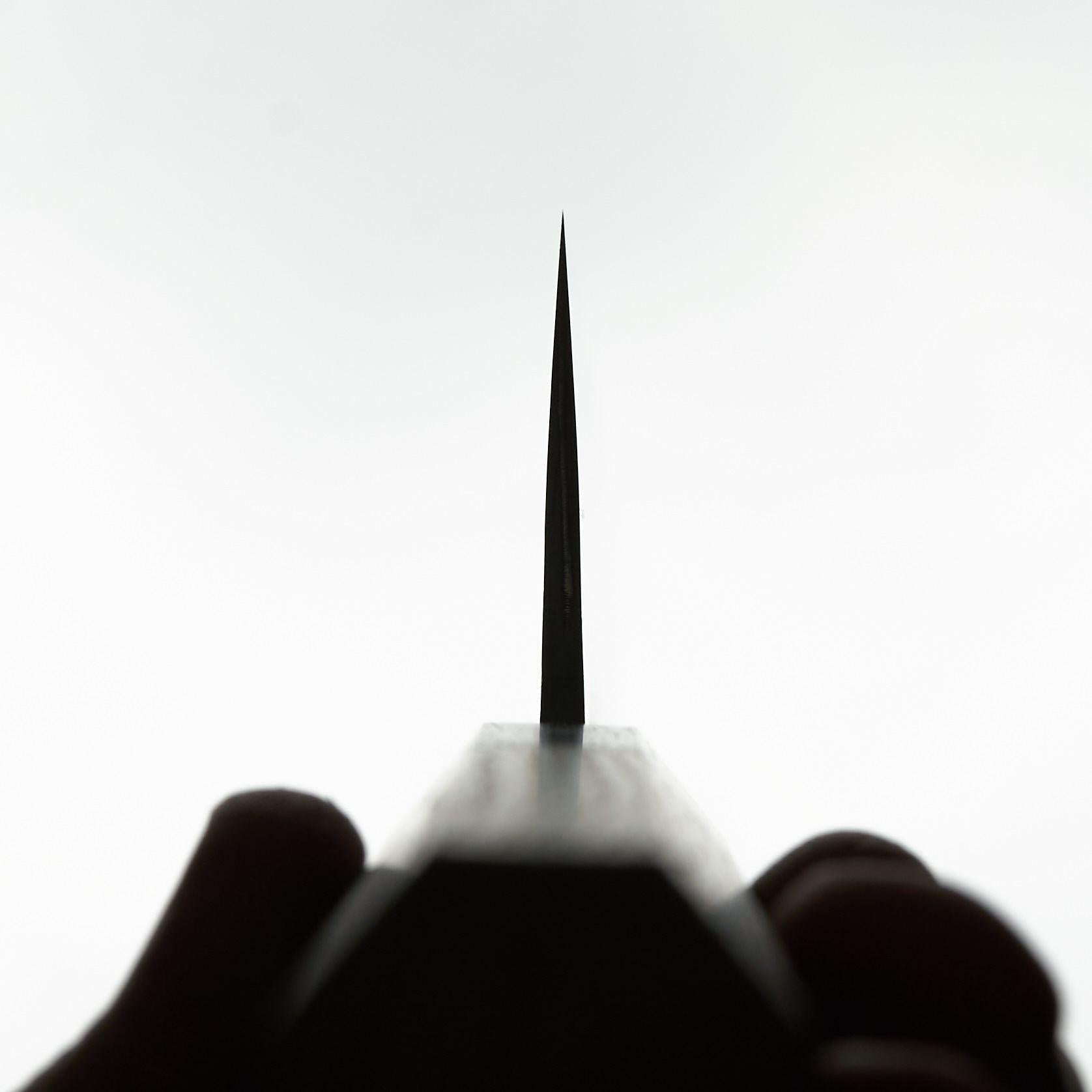 Nihei SLD Nashiji Kiritsuke Gyuto 210mm-Knife-Nihei-Carbon Knife Co