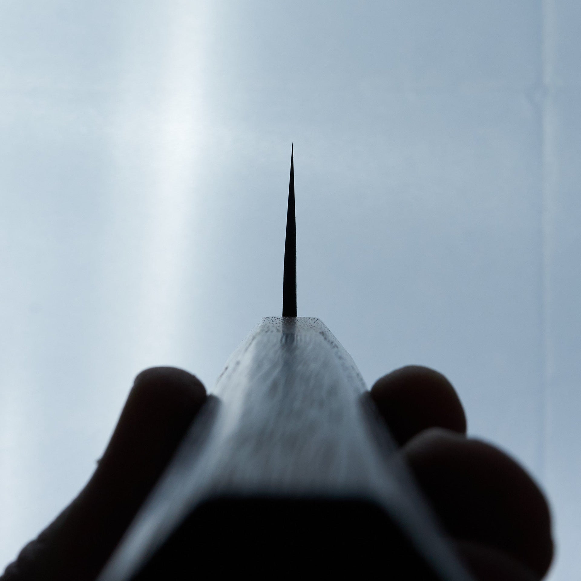 Nihei White #2 Stainless Clad Gyuto 240mm-Knife-Nihei-Carbon Knife Co