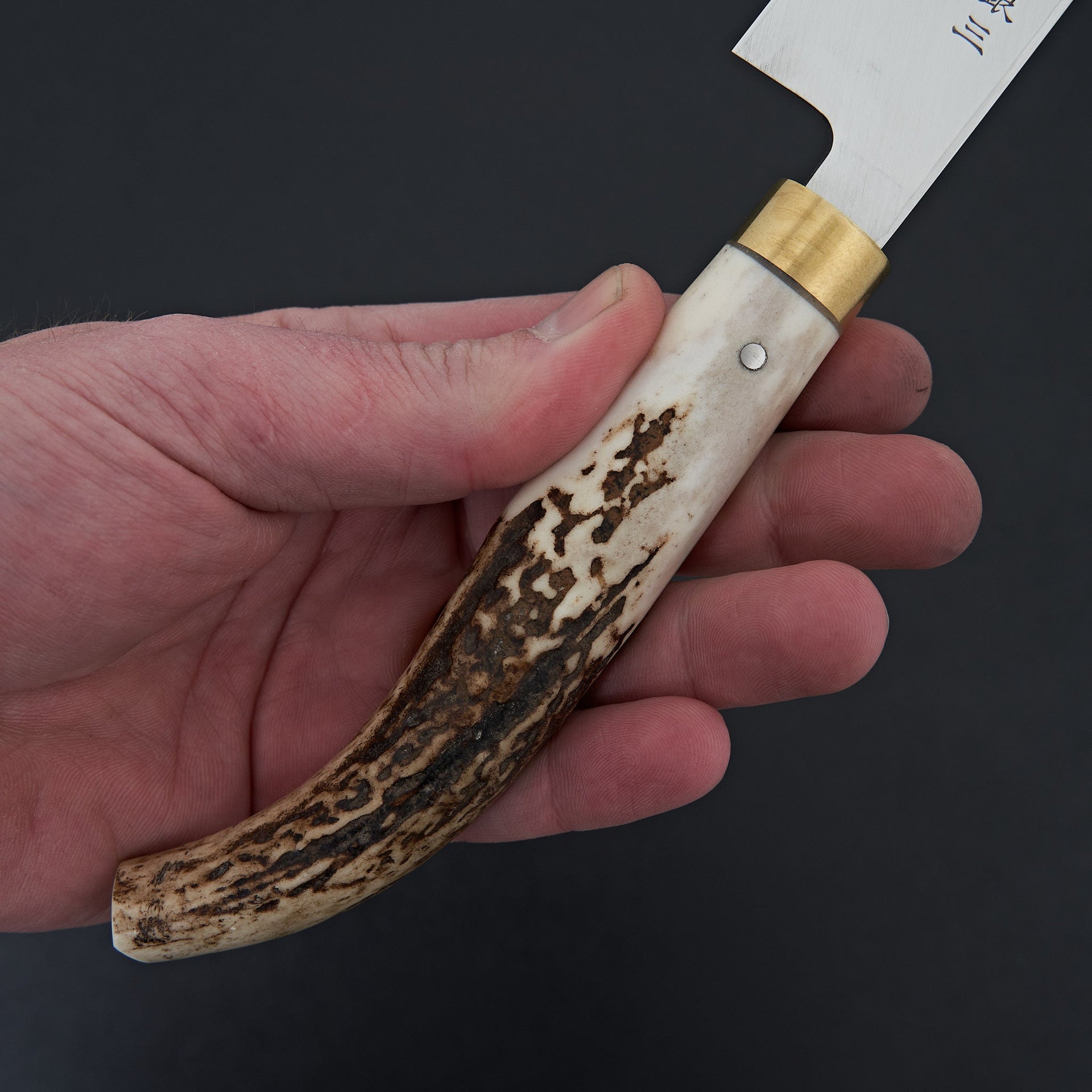 Saji Ginsan Yanagiba 240mm-Knife-Takeshi Saji-Carbon Knife Co