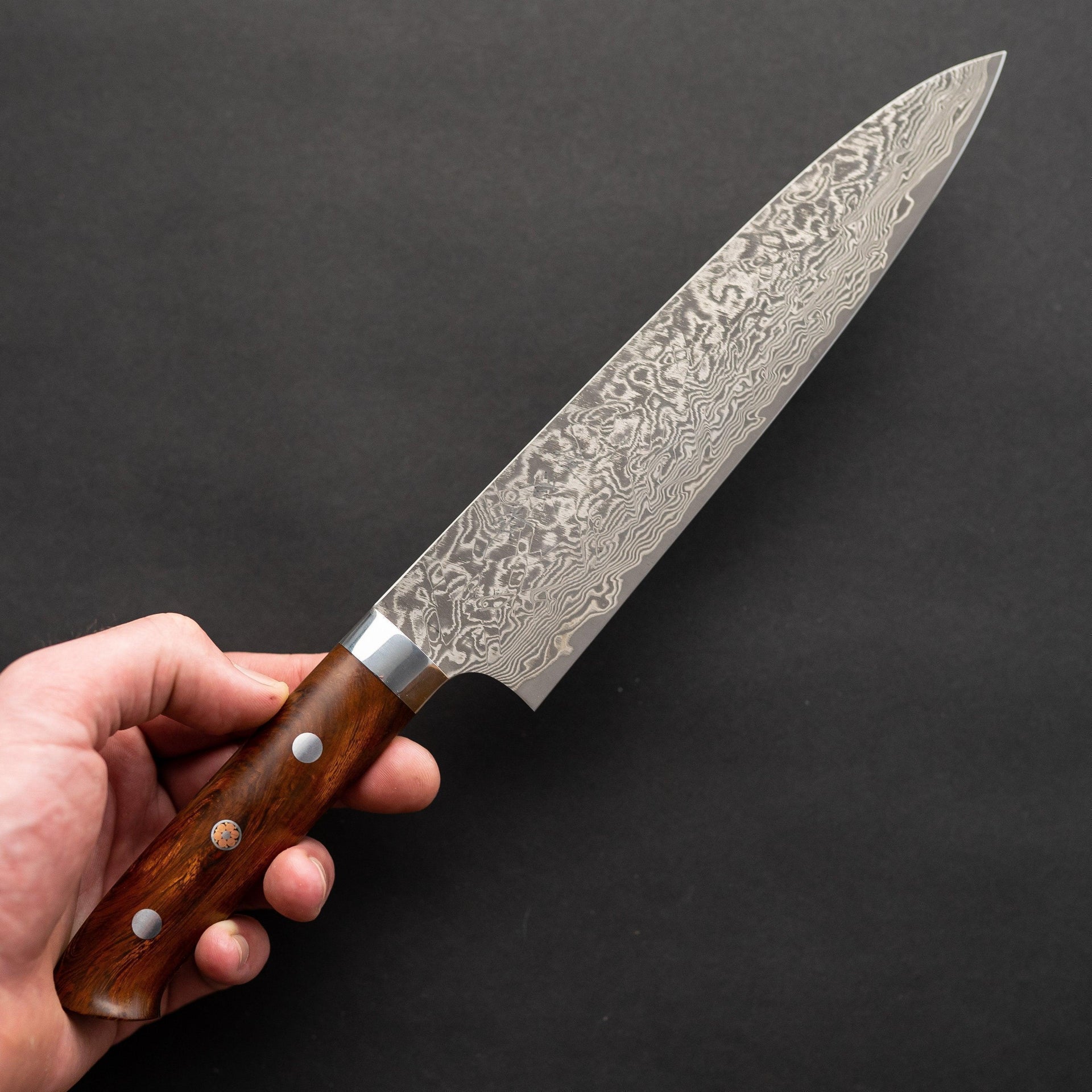 Saji R2 Ironwood Handle Gyuto 210mm-Knife-Takeshi Saji-Carbon Knife Co