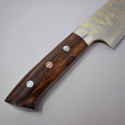 Saji Rainbow Damascus Gyuto 210mm-Knife-Takeshi Saji-Carbon Knife Co