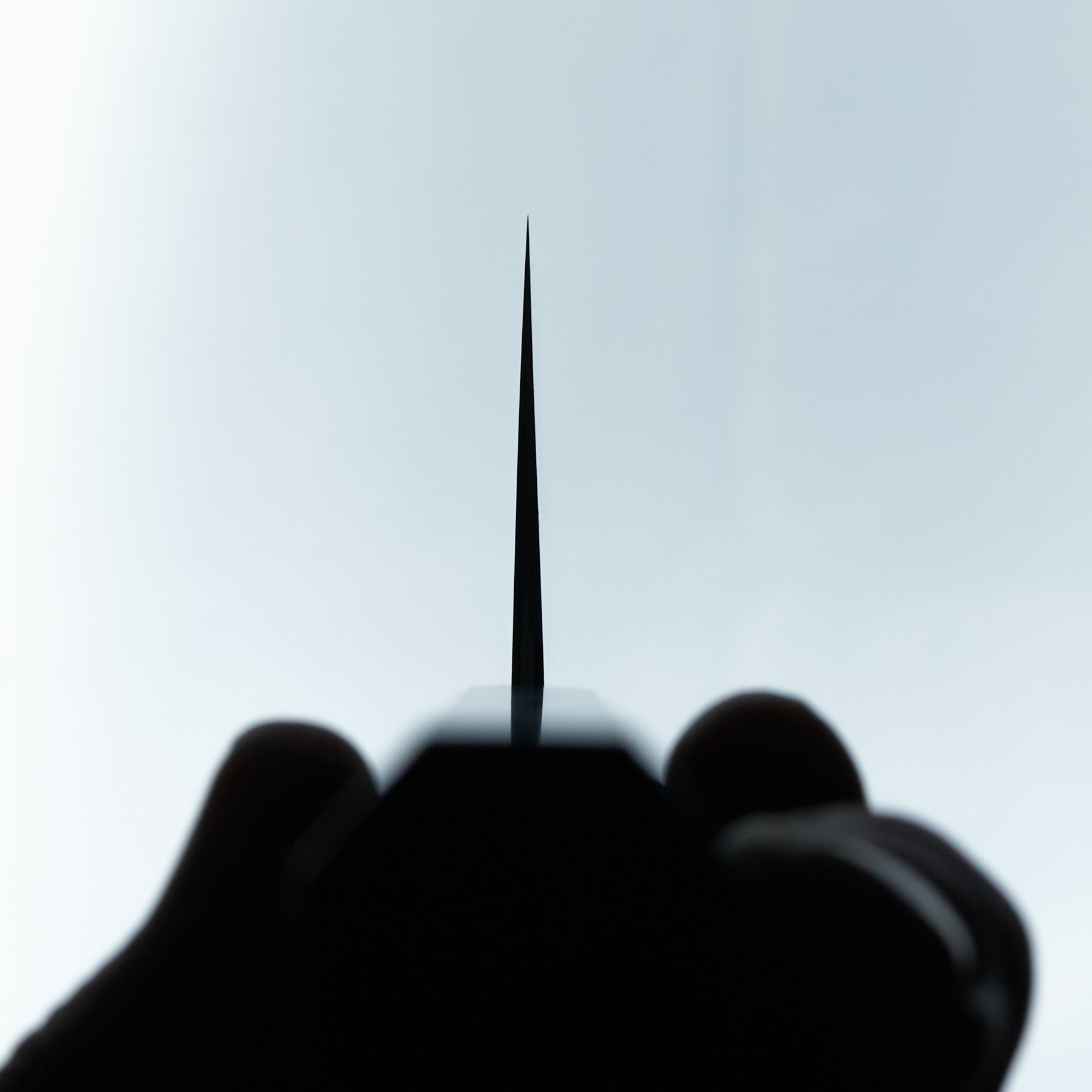 Sakai Kikumori Blue #1 Yugiri Kiritsuke Gyuto 225mm-Knife-Sakai Kikumori-Carbon Knife Co