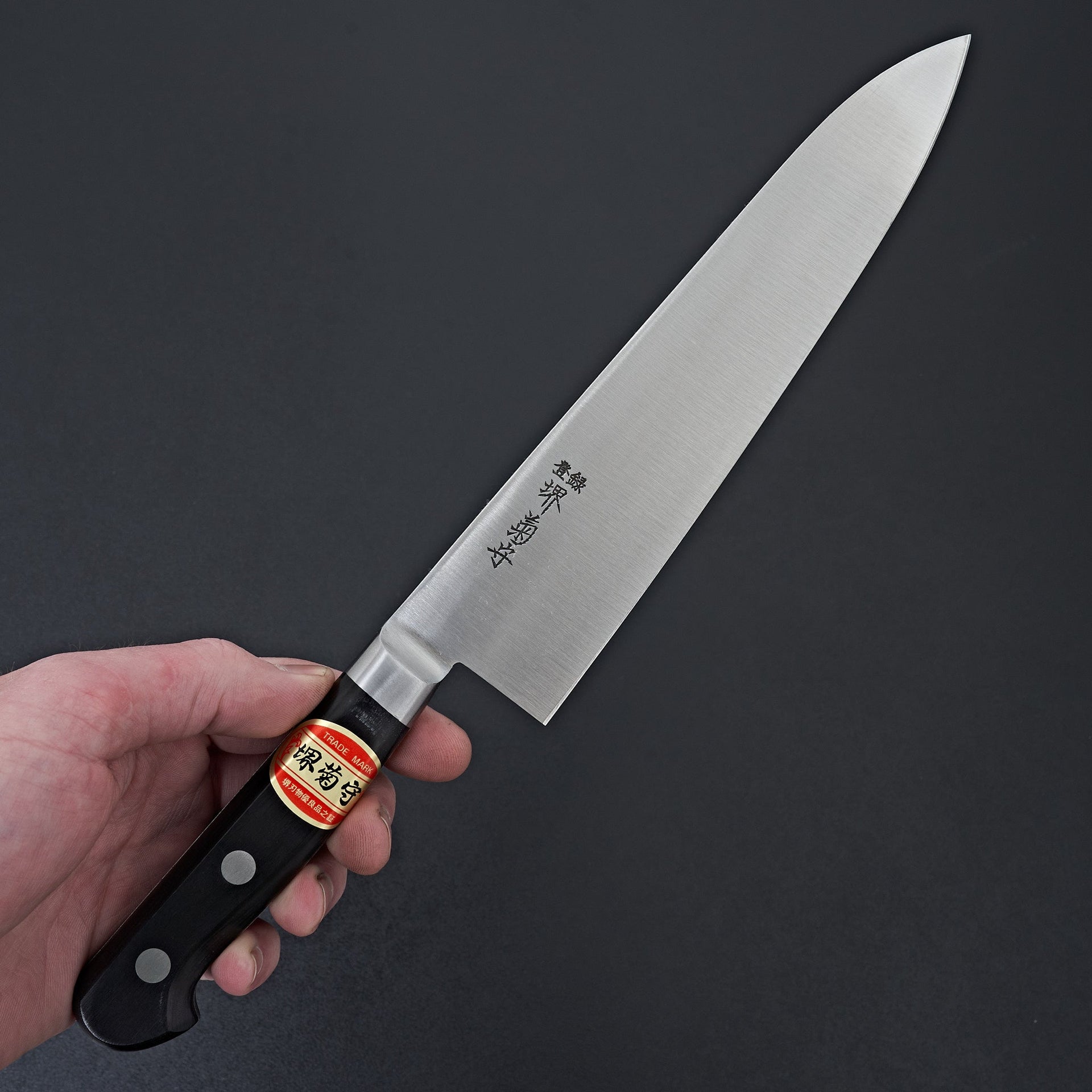 Sakai Kikumori Nihonko Carbon Gyuto 210mm-Knife-Sakai Kikumori-Carbon Knife Co