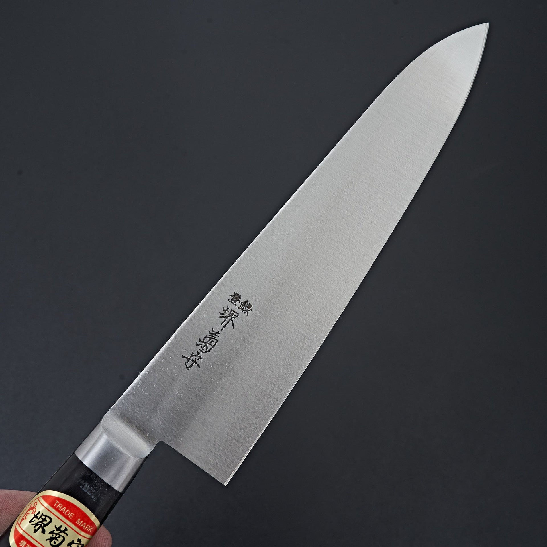 Sakai Kikumori Nihonko Carbon Gyuto 210mm-Knife-Sakai Kikumori-Carbon Knife Co