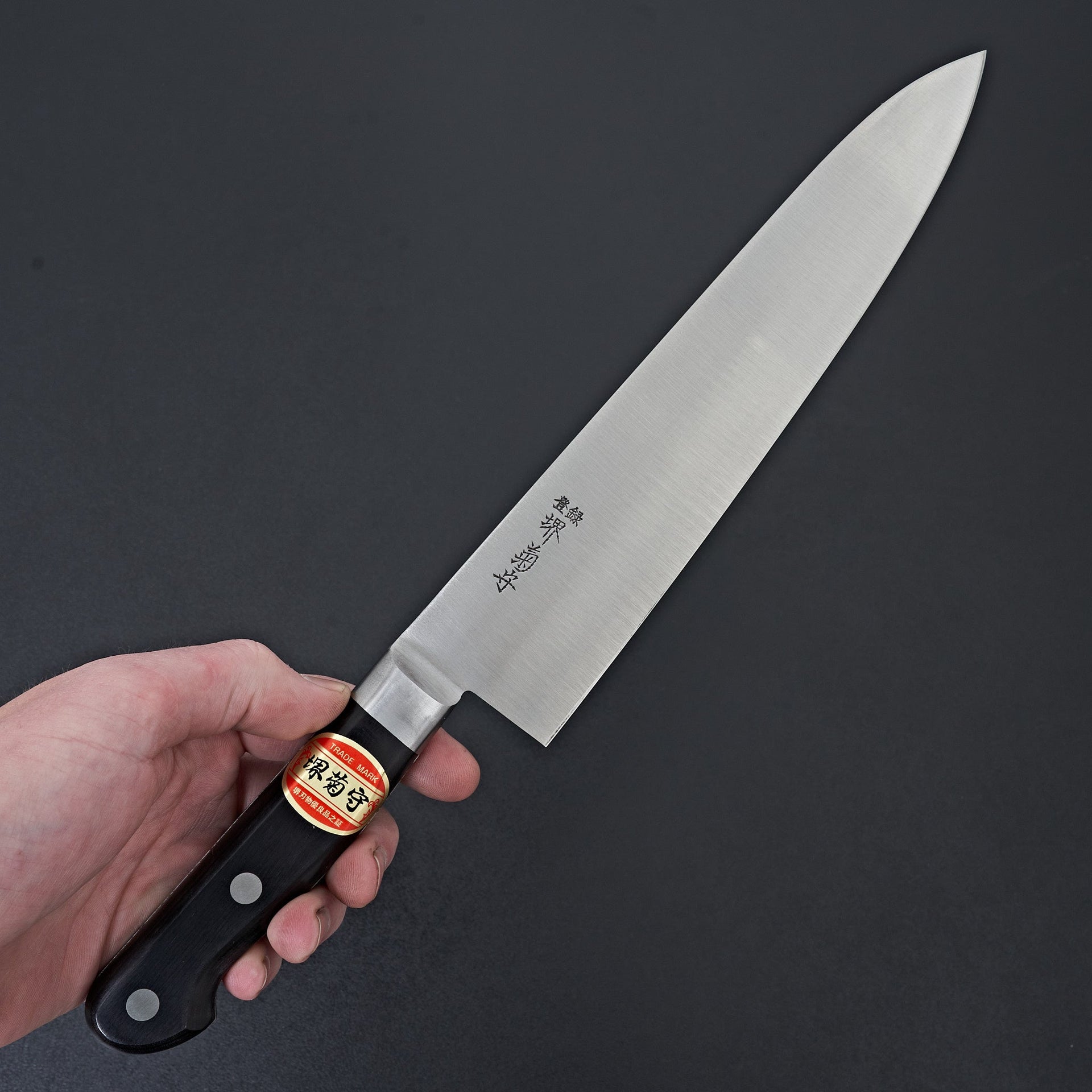 Sakai Kikumori Nihonko Carbon Gyuto 240mm-Knife-Sakai Kikumori-Carbon Knife Co