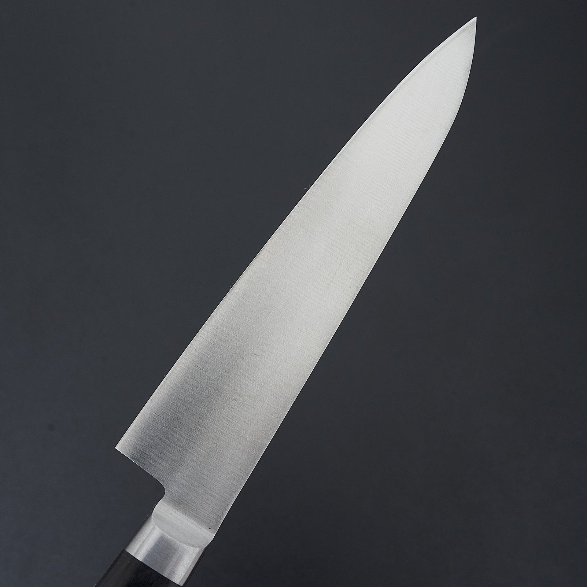 Sakai Kikumori Nihonko Carbon Petty 150mm-Knife-Sakai Kikumori-Carbon Knife Co