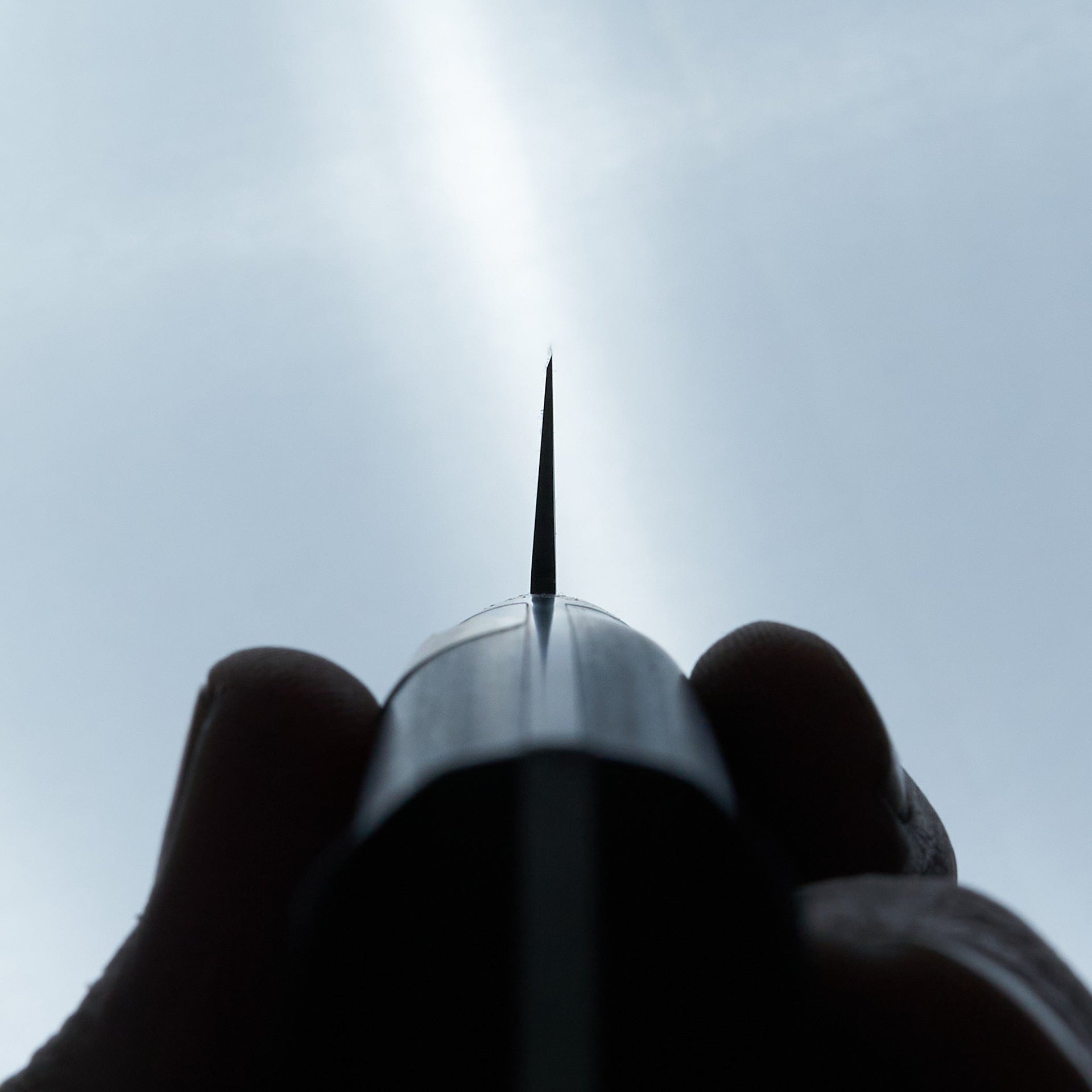 Sakai Kikumori Nihonko Carbon Sujihiki 240mm-Knife-Sakai Kikumori-Carbon Knife Co