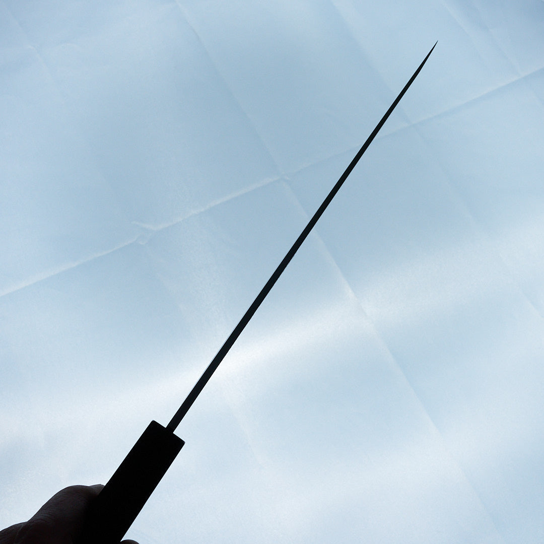 Sakai Takayuki Aonikou Blue 2 Yanagiba 240mm-Knife-Sakai Takayuki-Carbon Knife Co