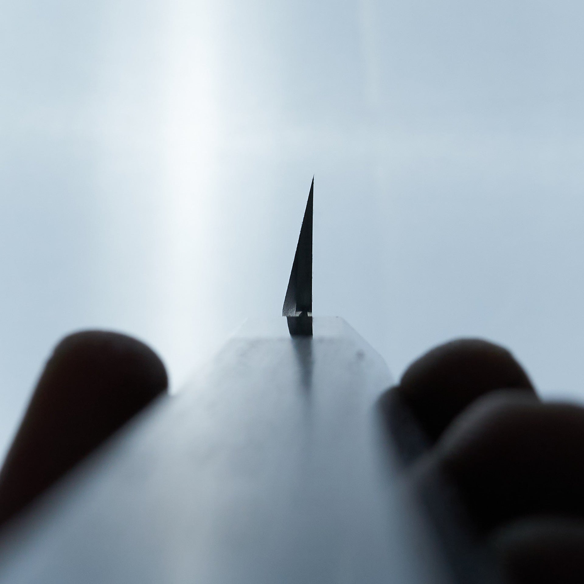 Sakai Takayuki Hanafubuki Ginsan Yanagiba 300mm-Knife-Sakai Takayuki-Carbon Knife Co