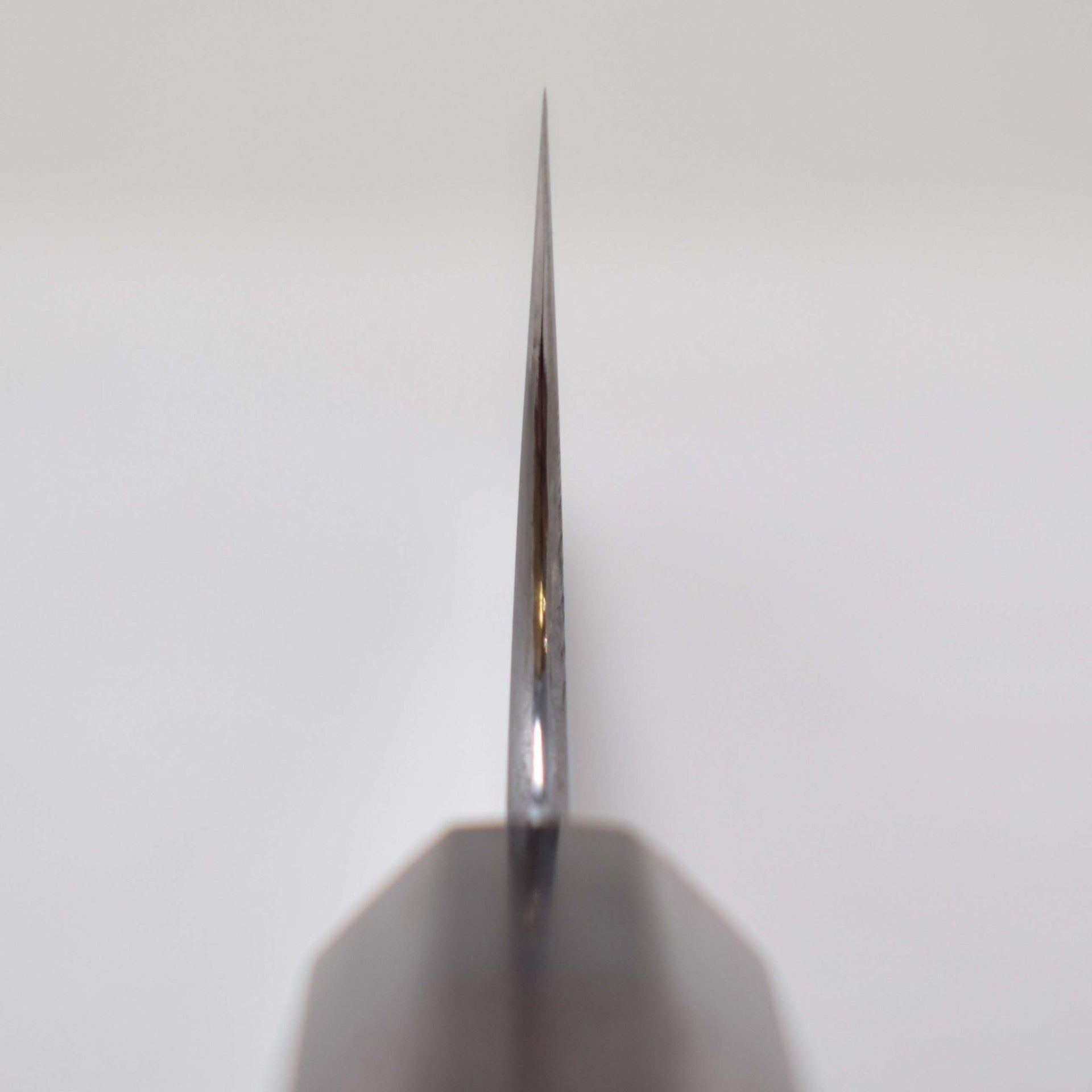 Shibata Koutetsu AS Gyuto 210mm-Knife-Shibata-Carbon Knife Co