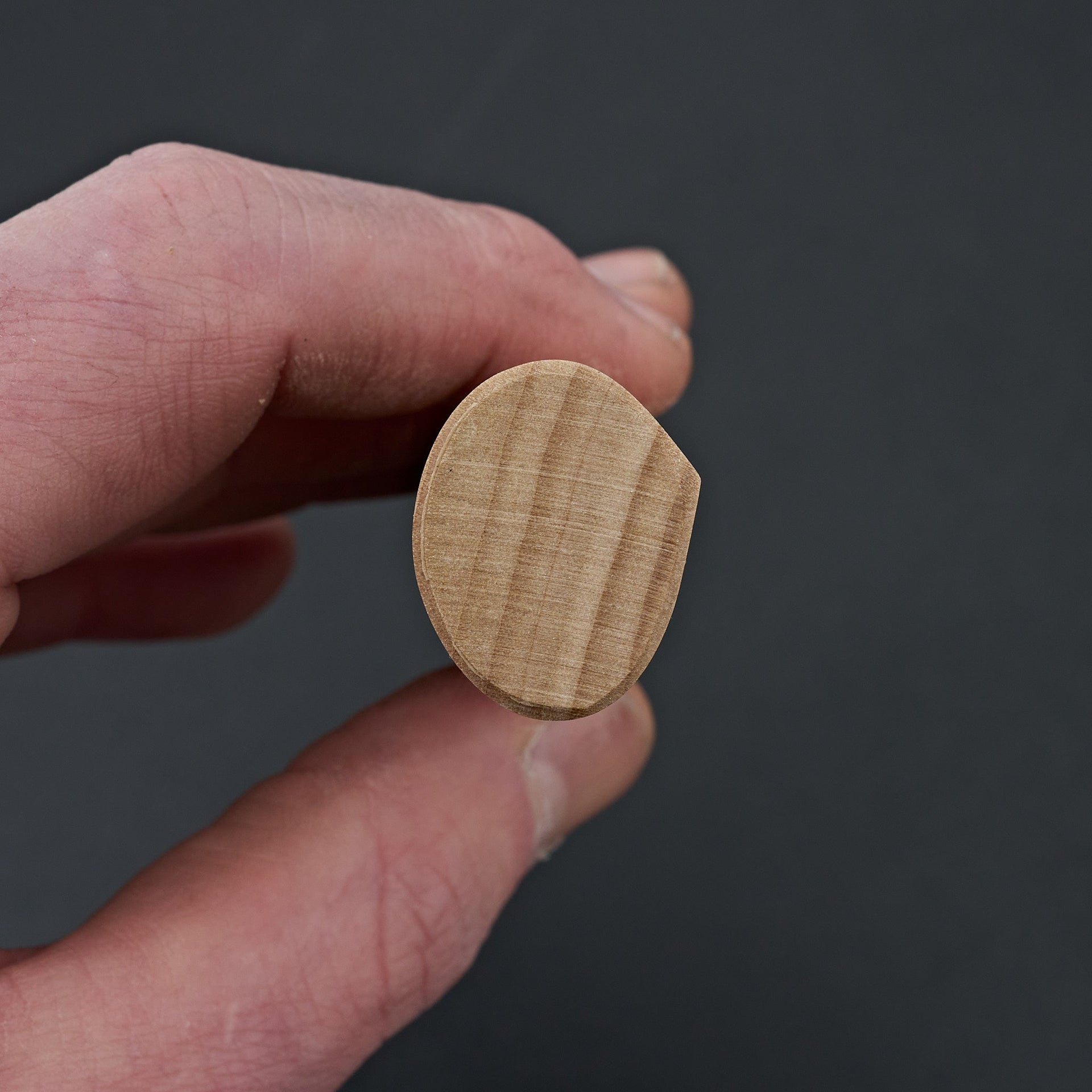 Taihei Ho D-Shape Handle (Yanagiba 240mm)-Carbon Knife Co-Carbon Knife Co