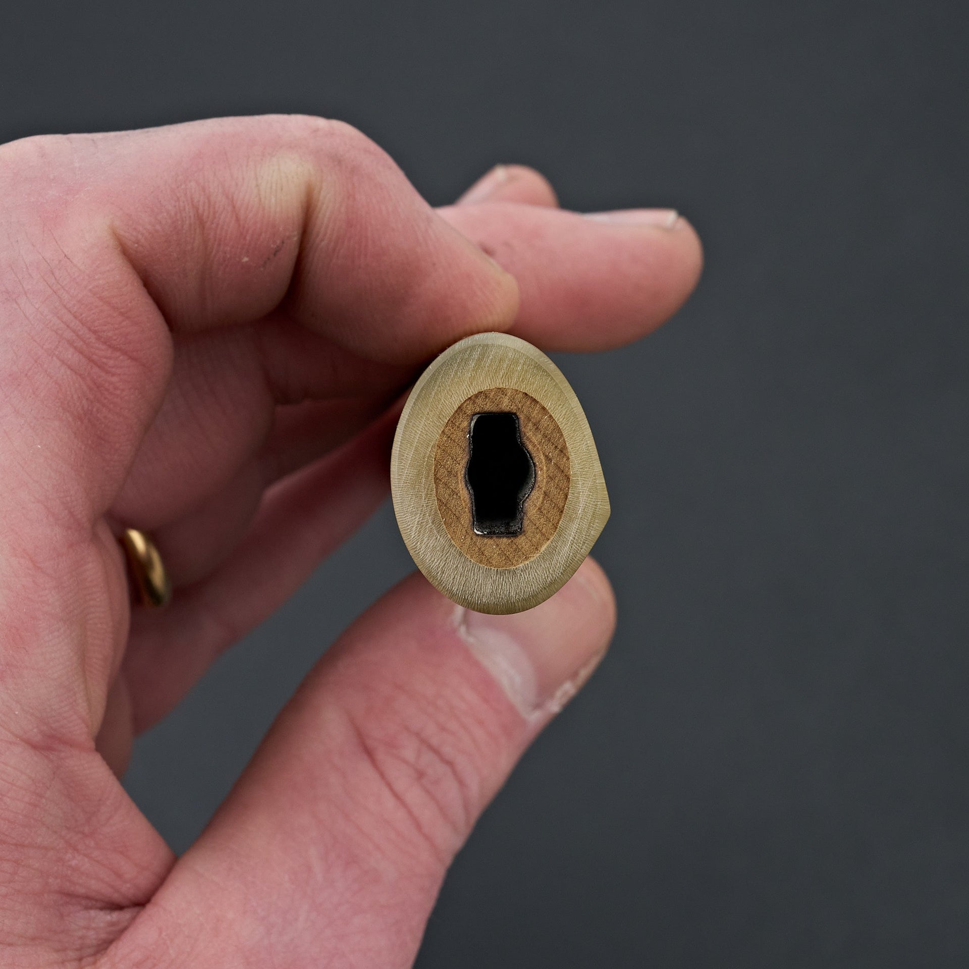 Taihei Ho D-Shape Handle (Yanagiba 270mm)-Carbon Knife Co-Carbon Knife Co