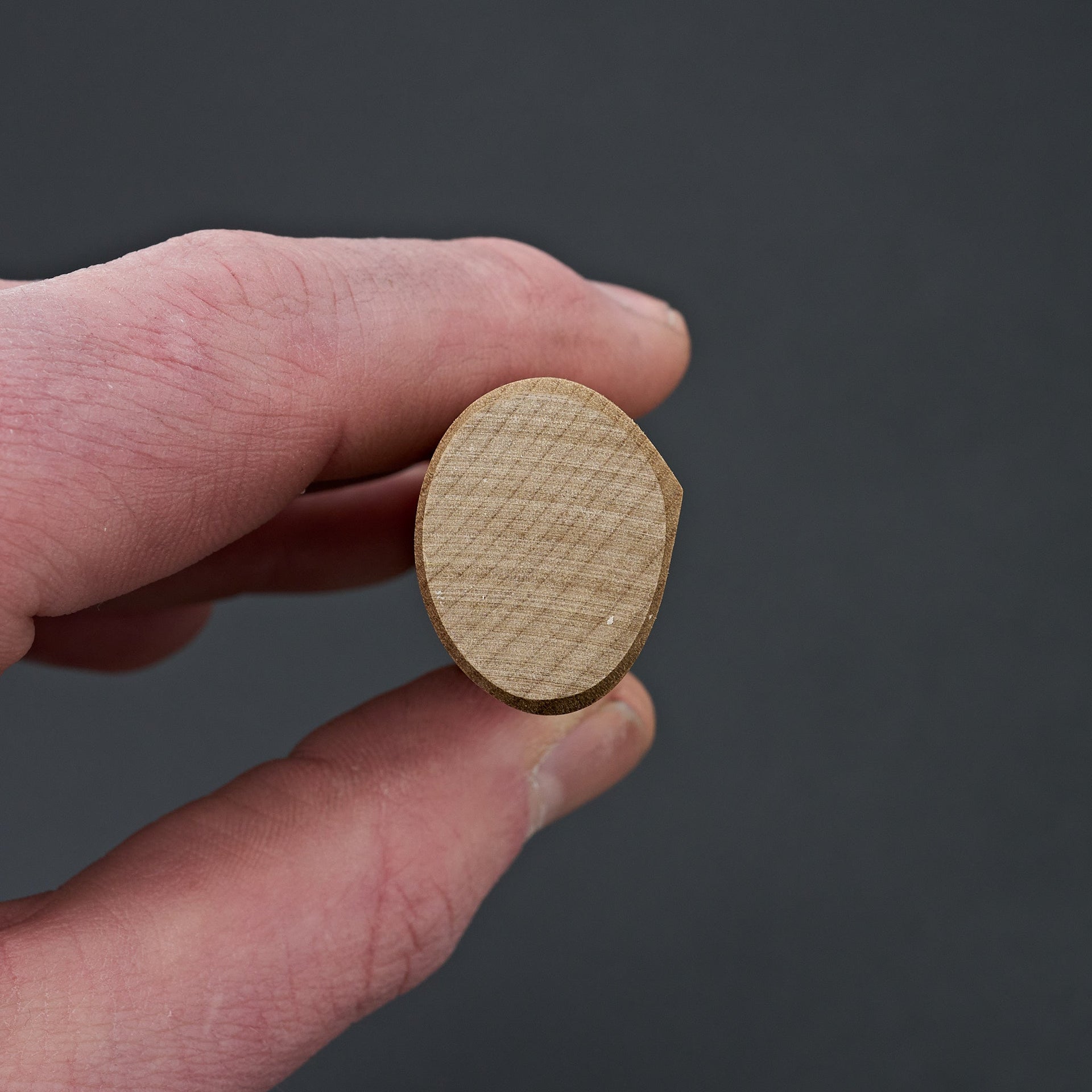 Taihei Ho D-Shape Handle (Yanagiba 270mm)-Carbon Knife Co-Carbon Knife Co