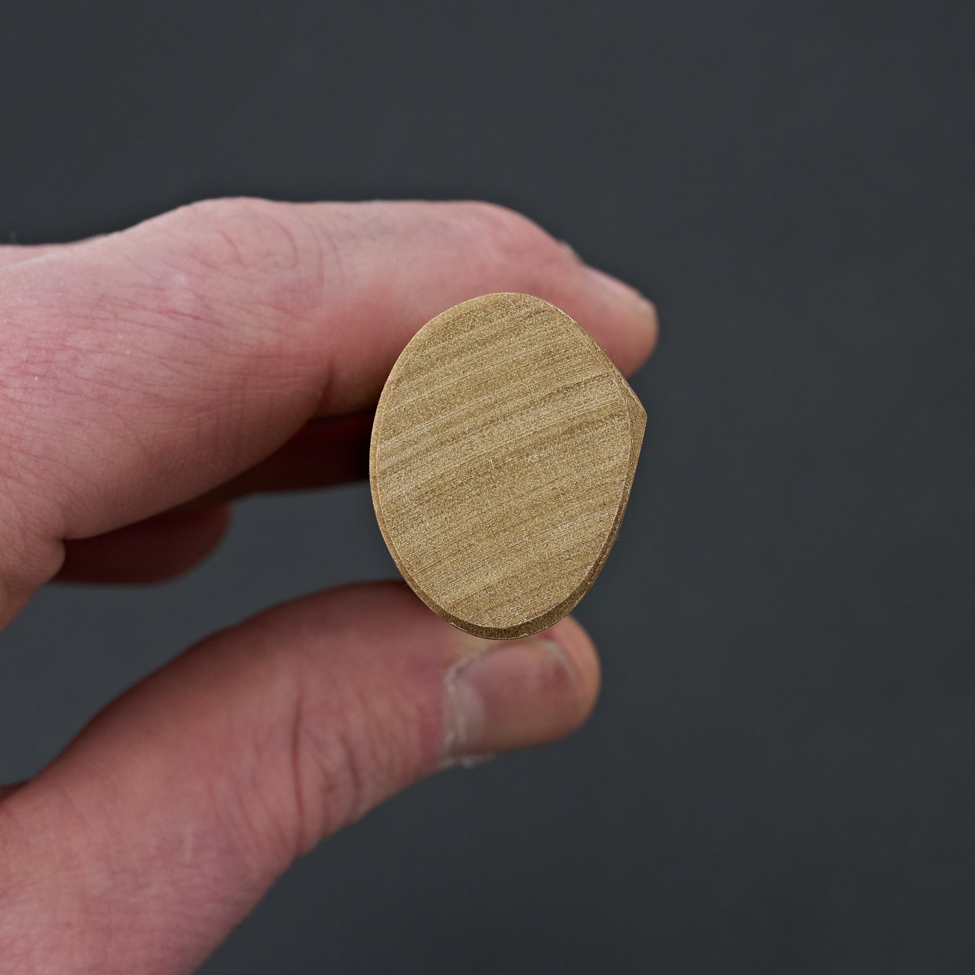 Taihei Ho D-Shape Handle (Yanagiba 300mm)-Carbon Knife Co-Carbon Knife Co