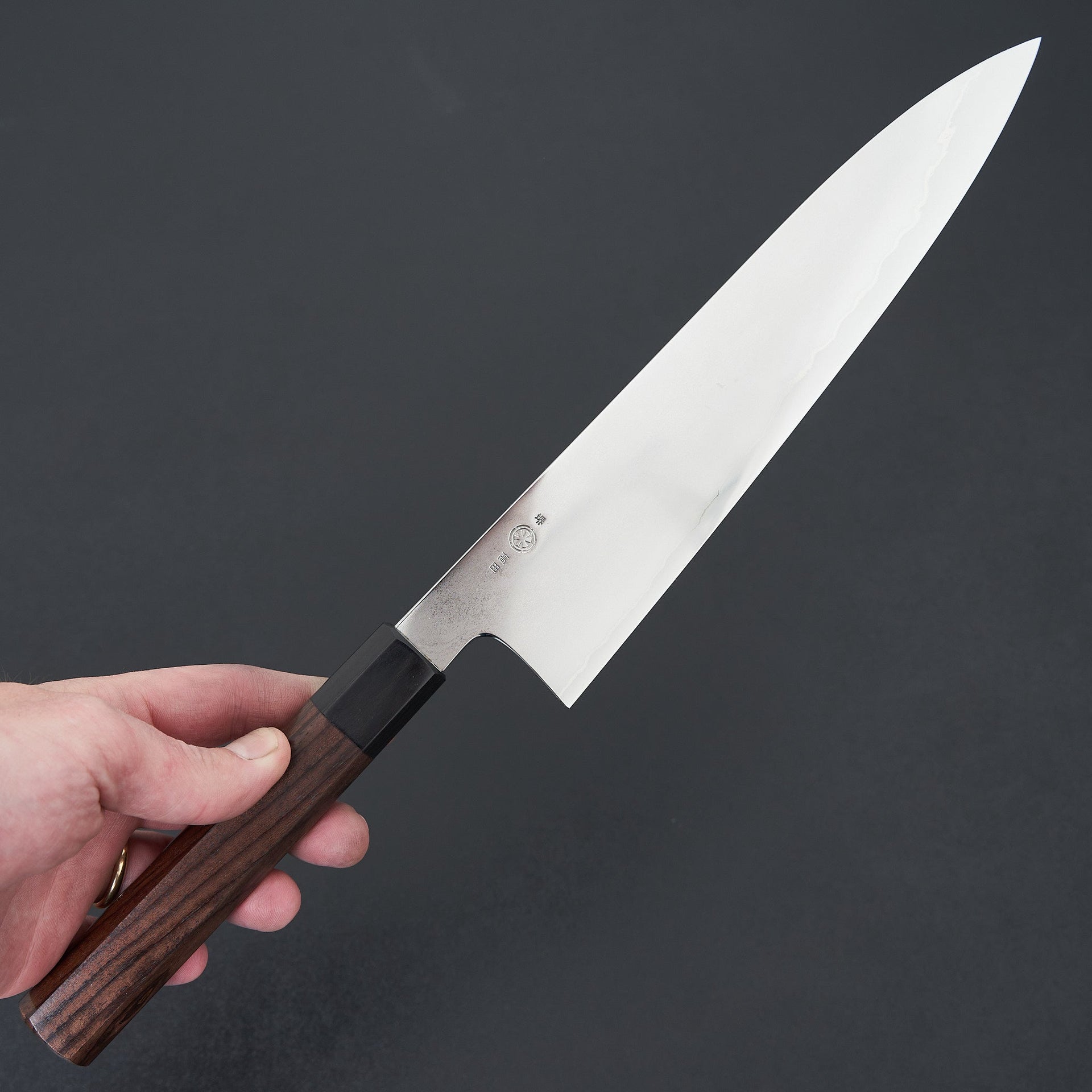 Takada no Hamono Suiboku Rosewood Ginsan Gyuto 240mm-Knife-Takada no Hamono-Carbon Knife Co