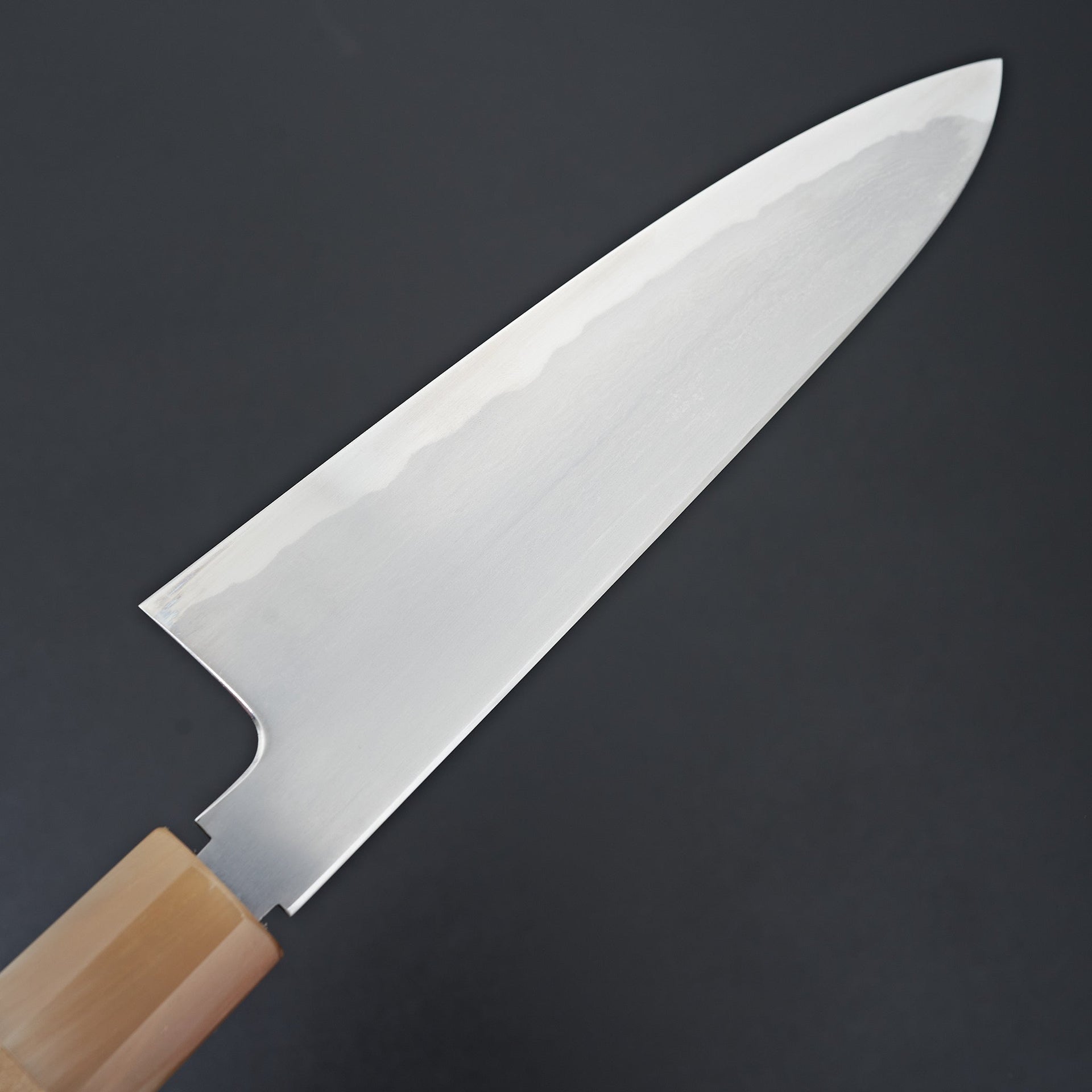 Tetsujin Blue #2 Kasumi Gyuto 210mm Ho Wood Handle-Knife-Hitohira-Carbon Knife Co