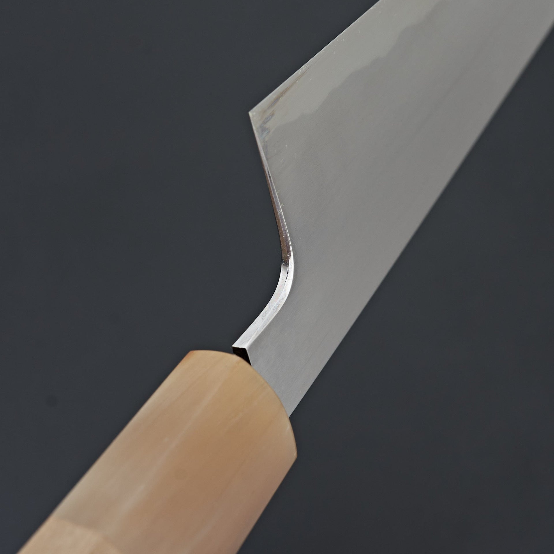 Tetsujin Blue #2 Kasumi Gyuto 210mm Ho Wood Handle-Knife-Hitohira-Carbon Knife Co