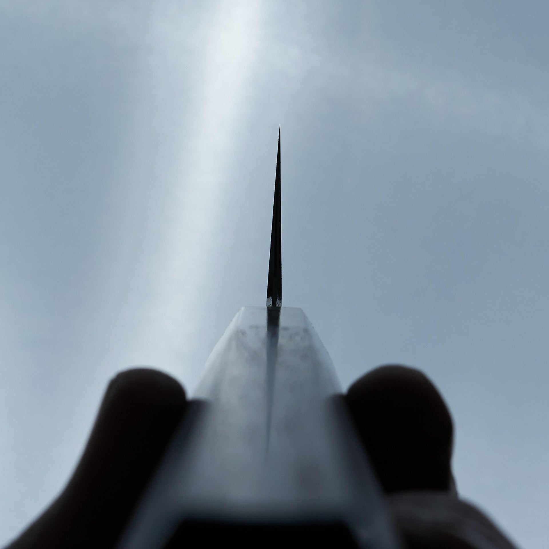 Tetsujin Blue #2 Kasumi Gyuto 210mm Taihei Wood Handle-Knife-Hitohira-Carbon Knife Co