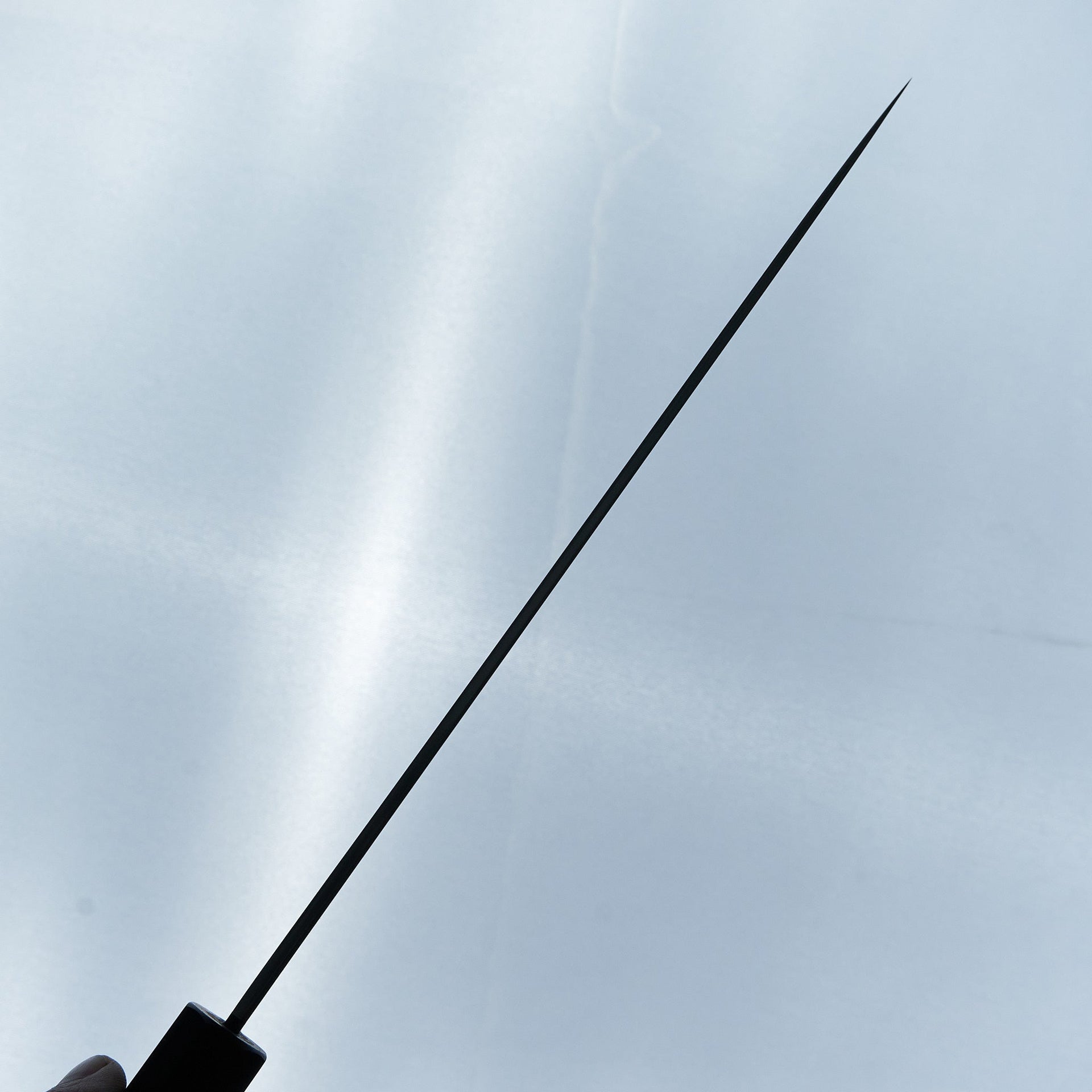 Tetsujin Blue #2 Kasumi Gyuto 240mm Ho Wood Handle-Knife-Hitohira-Carbon Knife Co