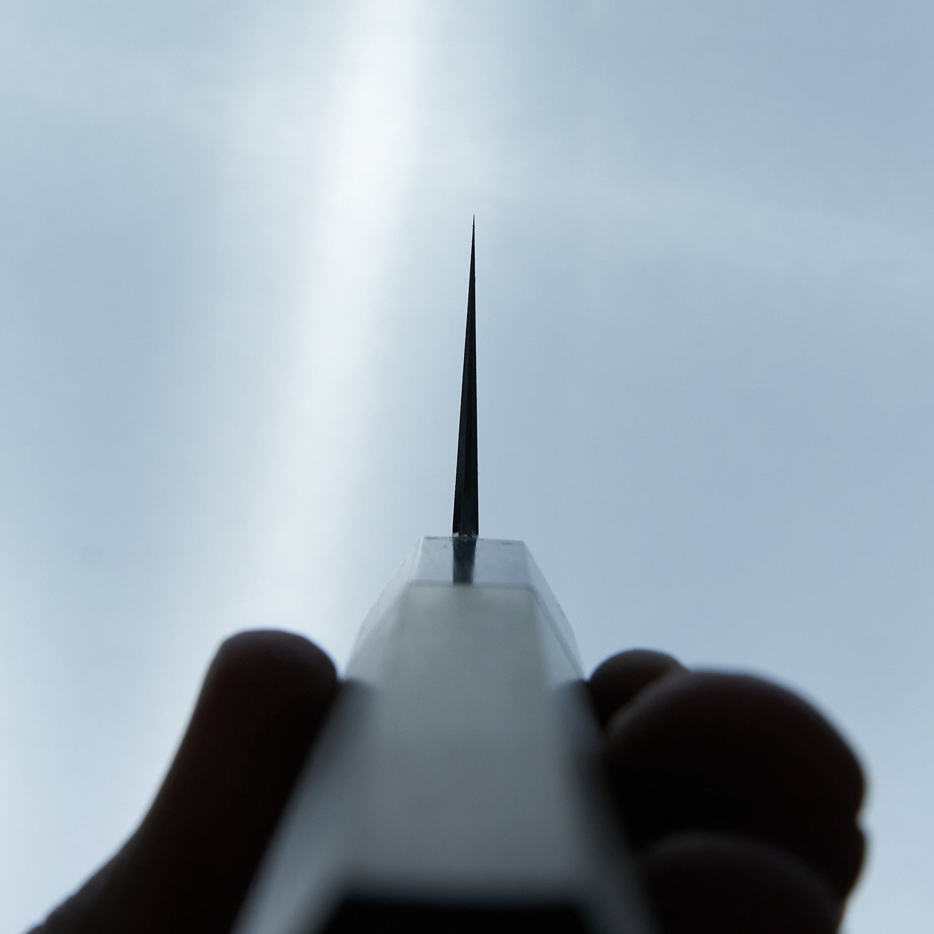 Tetsujin Blue #2 Kasumi Gyuto 240mm Ho Wood Handle-Knife-Hitohira-Carbon Knife Co