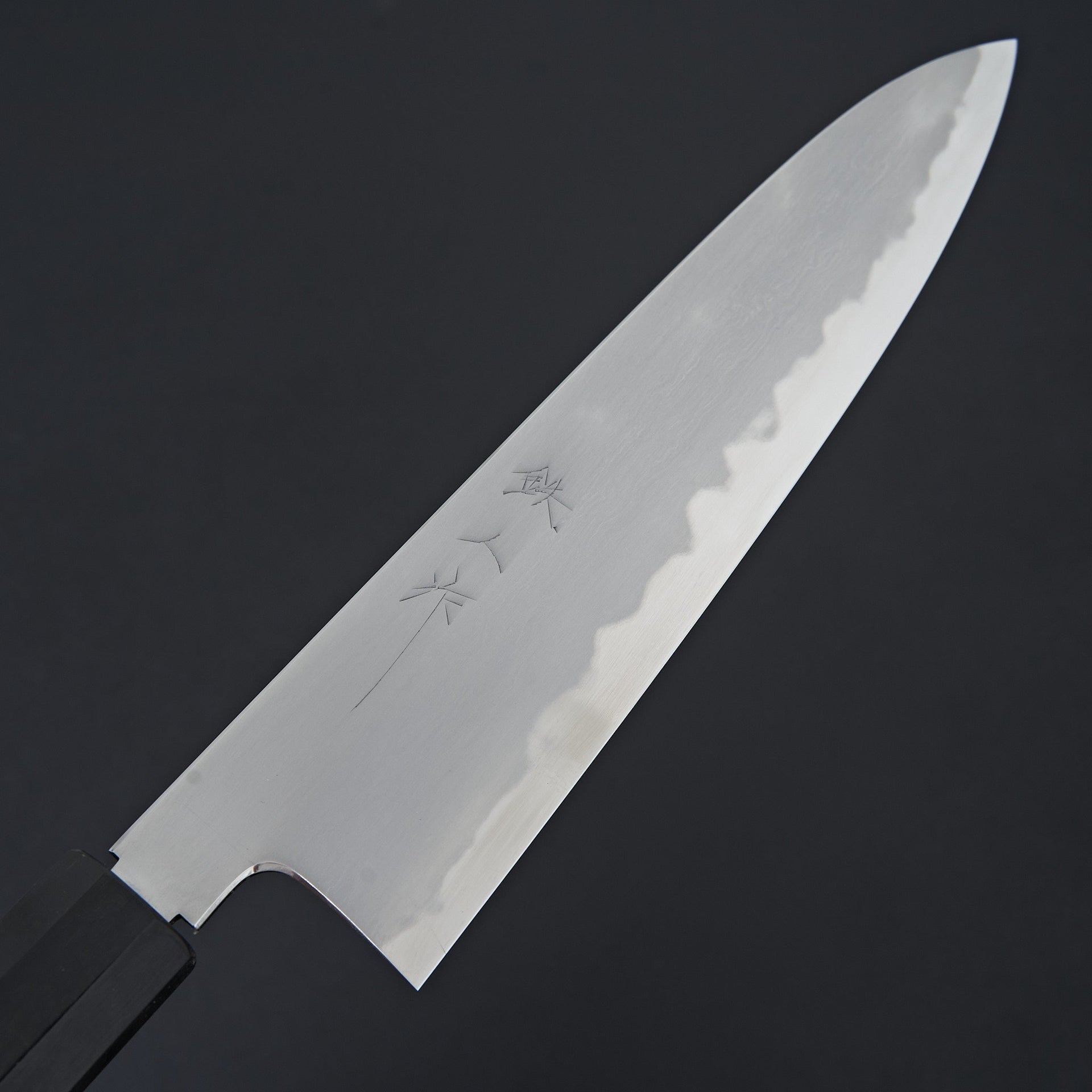 Tetsujin Blue #2 Kasumi Gyuto 240mm Ho Wood Handle-Knife-Hitohira-Carbon Knife Co