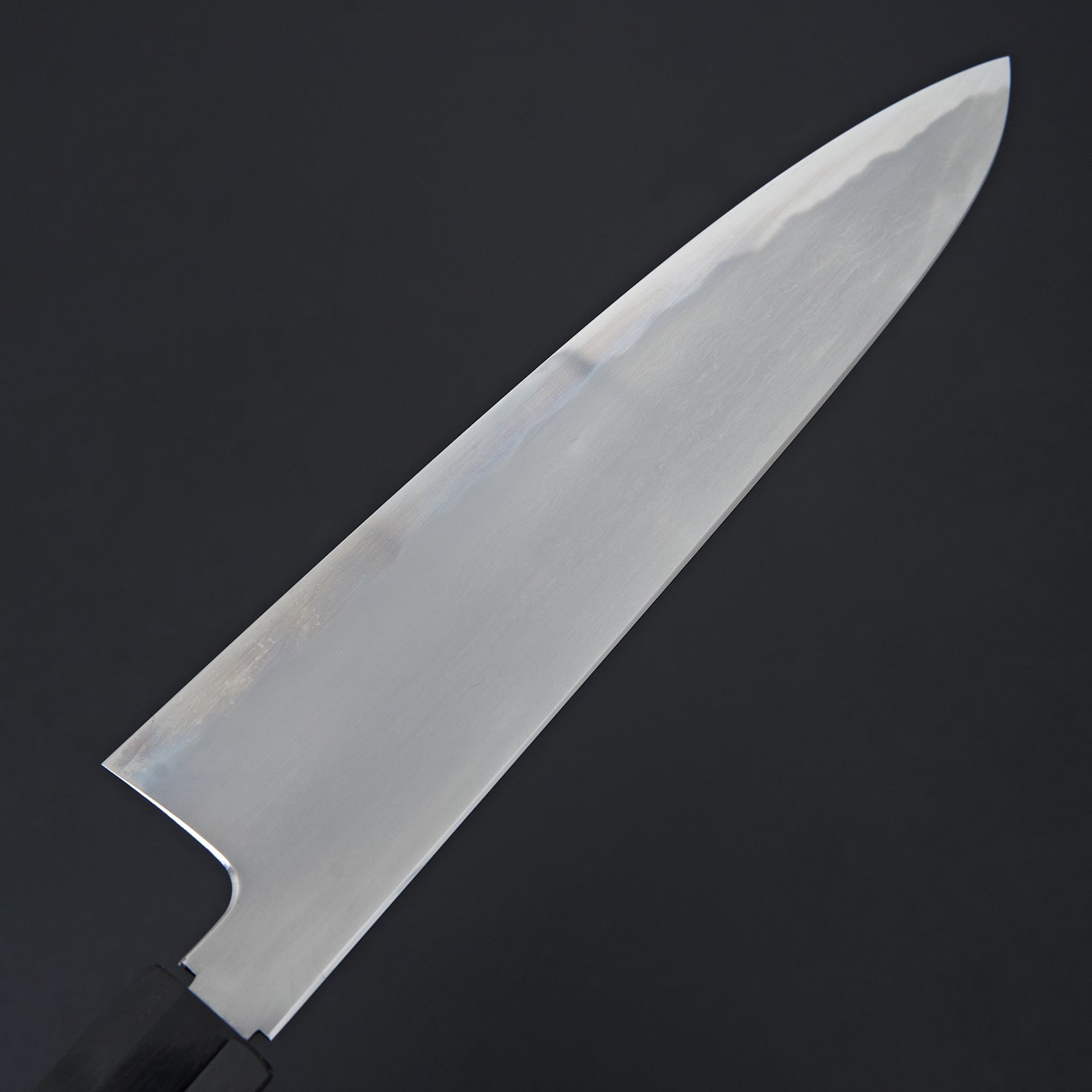 Tetsujin Blue #2 Kasumi Gyuto 240mm Ho Wood Handle-Knife-Hitohira-Carbon Knife Co