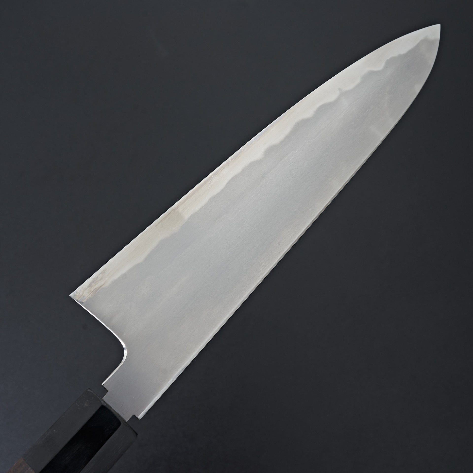 Tetsujin Blue #2 Kasumi Gyuto 240mm Taihei Rosewood Handle-Knife-Hitohira-Carbon Knife Co