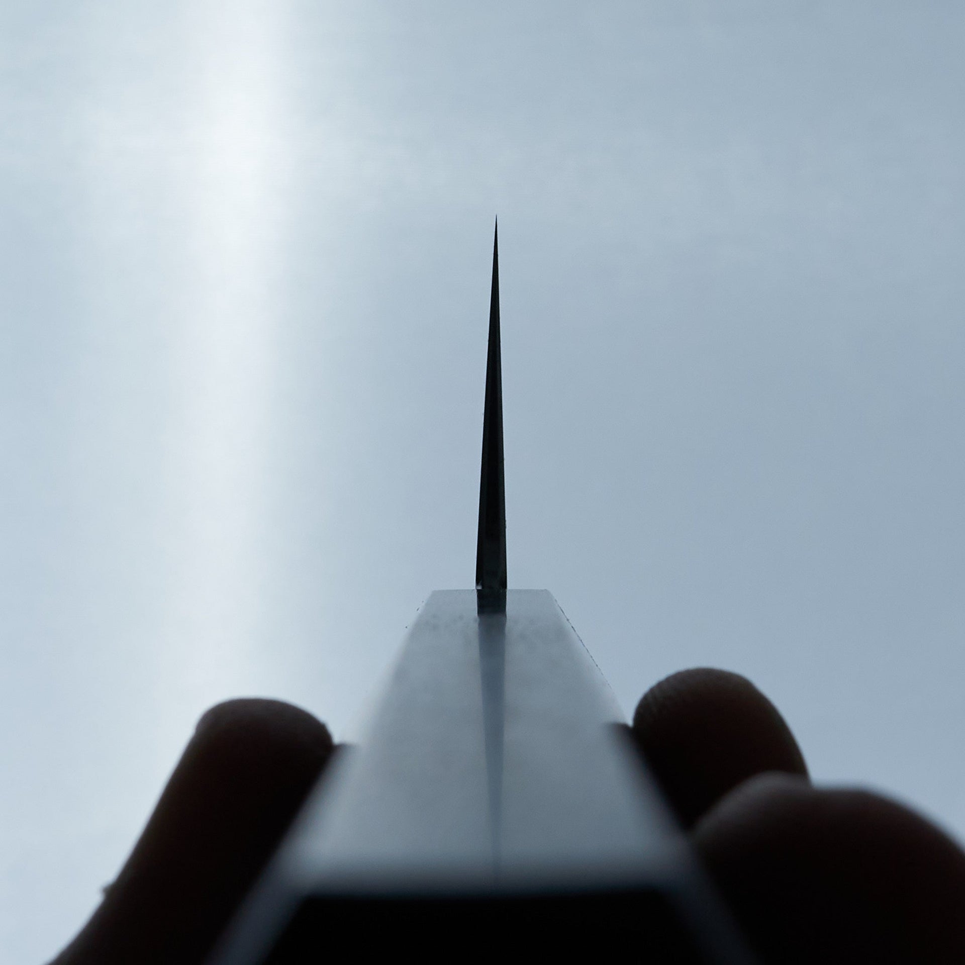 Tetsujin Blue #2 Kasumi Gyuto 240mm Taihei Rosewood Handle-Knife-Hitohira-Carbon Knife Co